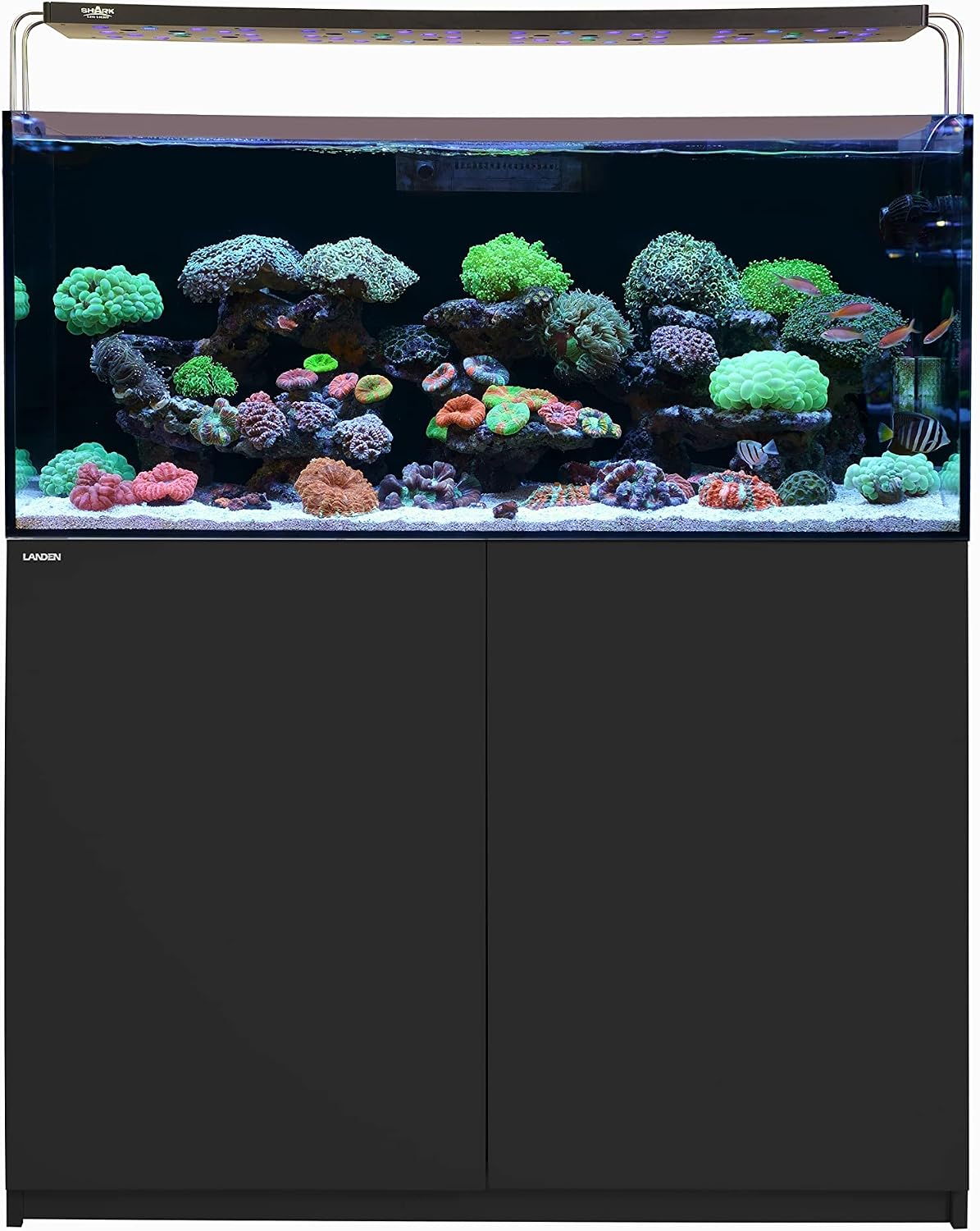 LANDEN Wooden Aquarium Stand & Cabinet, 20 Gallon Fish Tank, 17.7x17.7in
