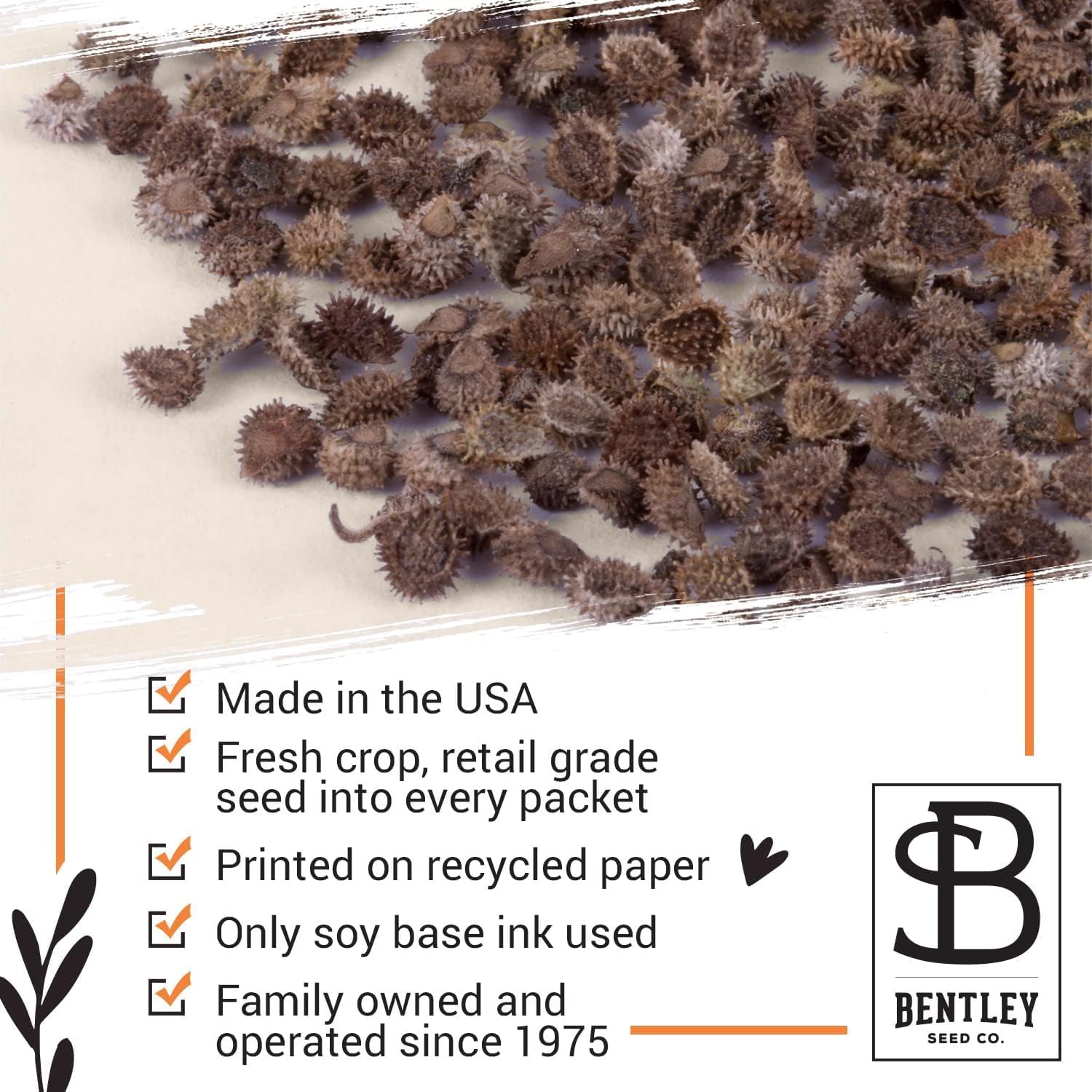Bentley Thank You Packet - Sunflower Seeds - Pack of 25 - Perfect Eco-Friendly Thank You Gift - Non GMO