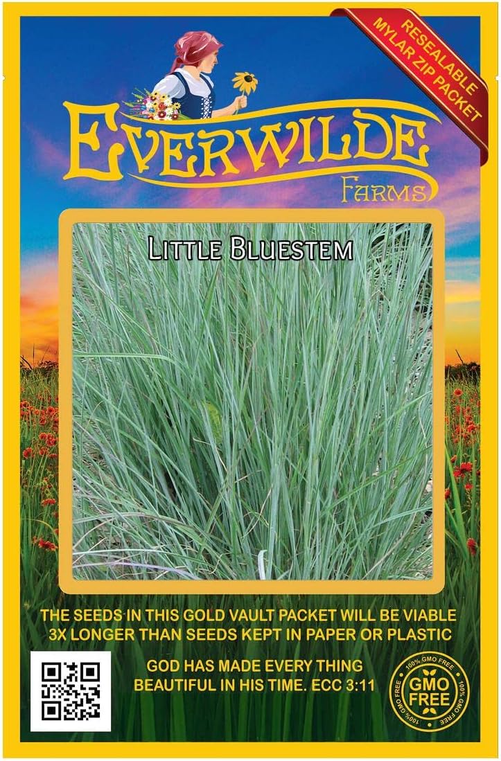 1000 Little Bluestem Native Grass Seeds - Gold Vault Jumbo Seed Packet