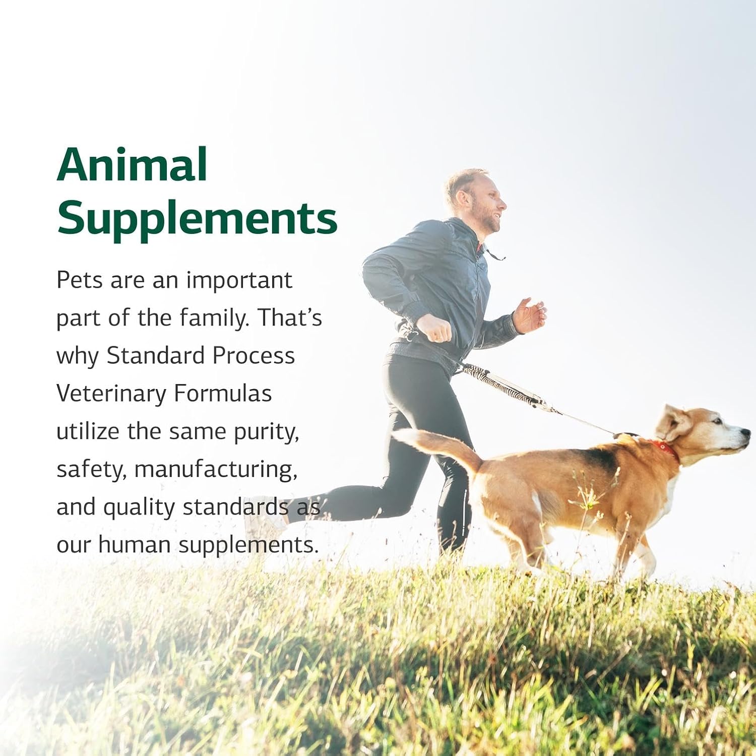 Standard Process Inc. Whole Body Multisystem Support Supplement for Canines - Nutritional Powder for Daily Health Maintenance - 25 g