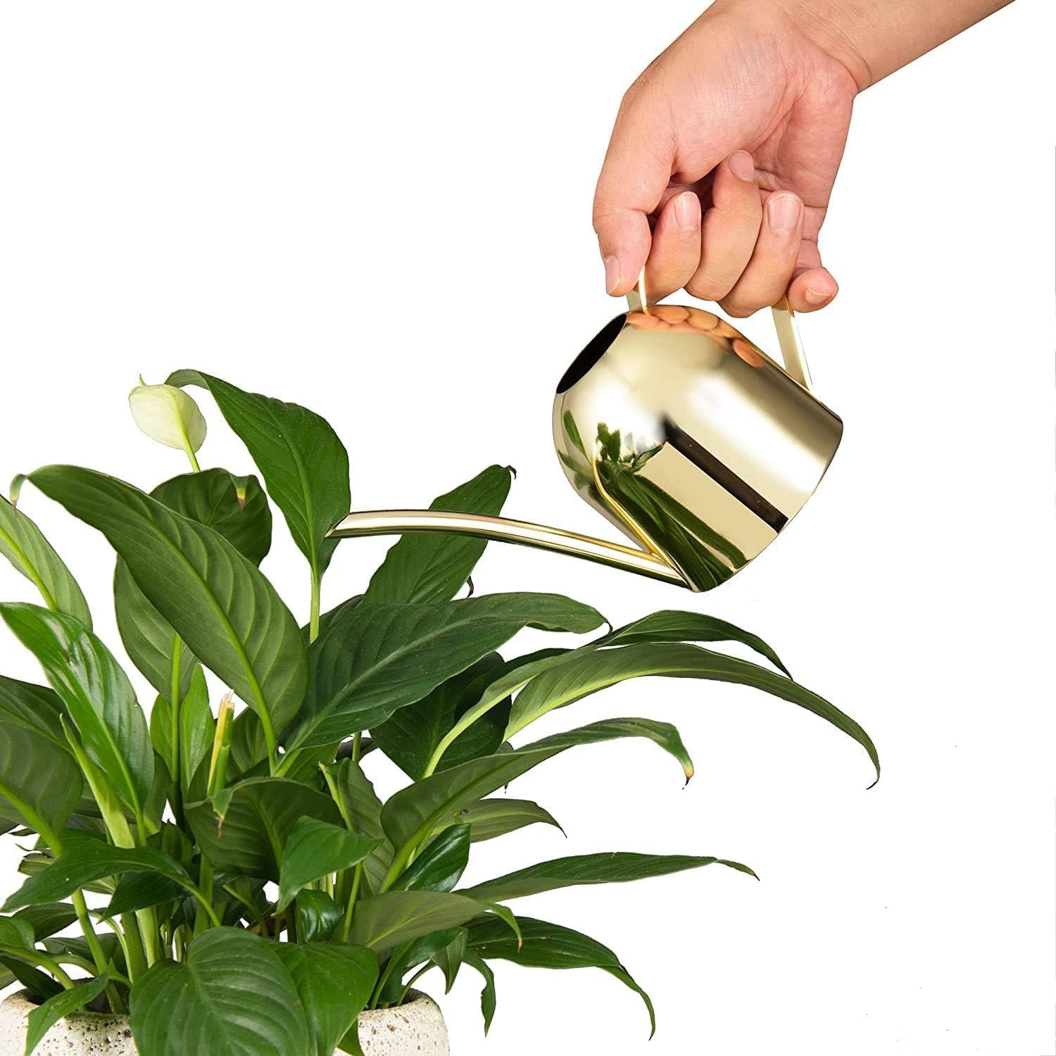 IMEEA Indoor Watering Can for House Plants 33oz/1L Brushed Stainless Steel Watering Can with Long Spout for Succulents, Bonsai