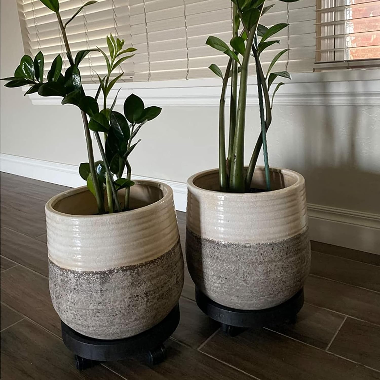 2 Pack of 11 Inch Heavy Duty Plant Caddy with Wheels, Rolling Plant Stand Pot Trolley, Wheeled Planter Saucer Tray