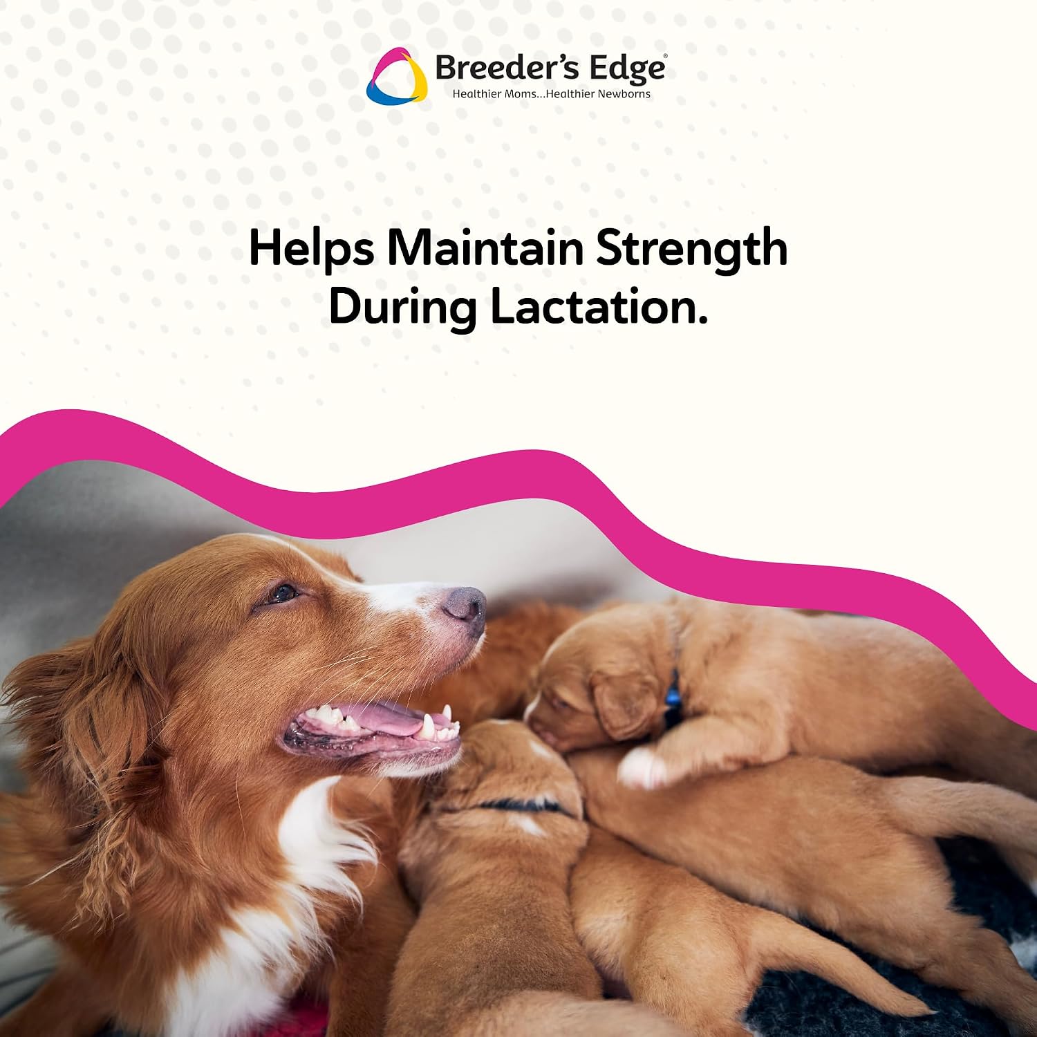 Breeder's Edge Oral Cal Plus Gel, Whelping and Queening Calcium Supplement Gel for Dogs and Cats Delivers 3 Calcium Sources in Labor to Support Strong and Normal Contractions, 30ml Paste