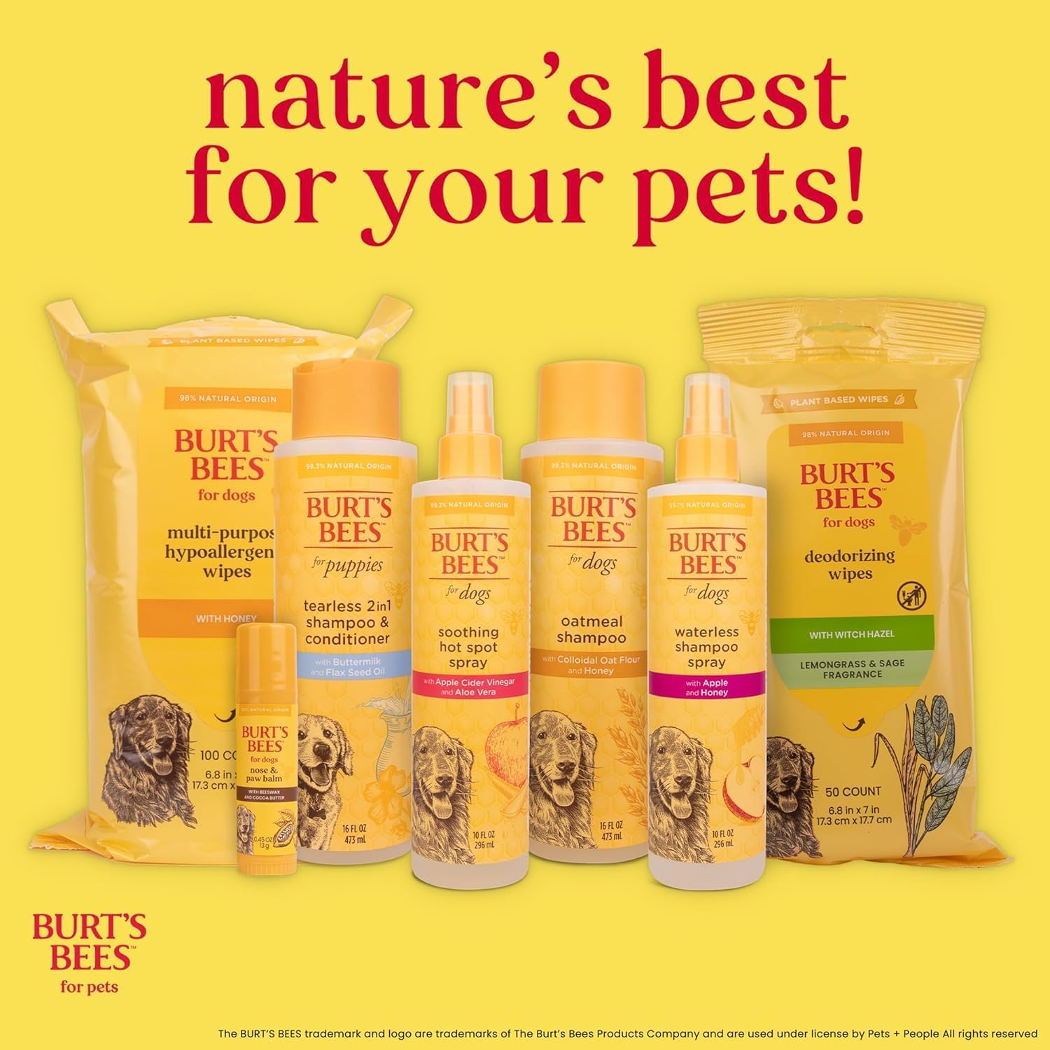 BURT'S BEES FOR PETS Ear Cleaner for Dogs with Pepeprmint and Witch Hazel, 99.7% Natural Origin Formulas, Dog Ear Cleaner, Ear Cleaning Solution for Dogs, 4 oz | 99.7 percent natural origin formula, gentle ear cleaning solution, for routine daily groomin…