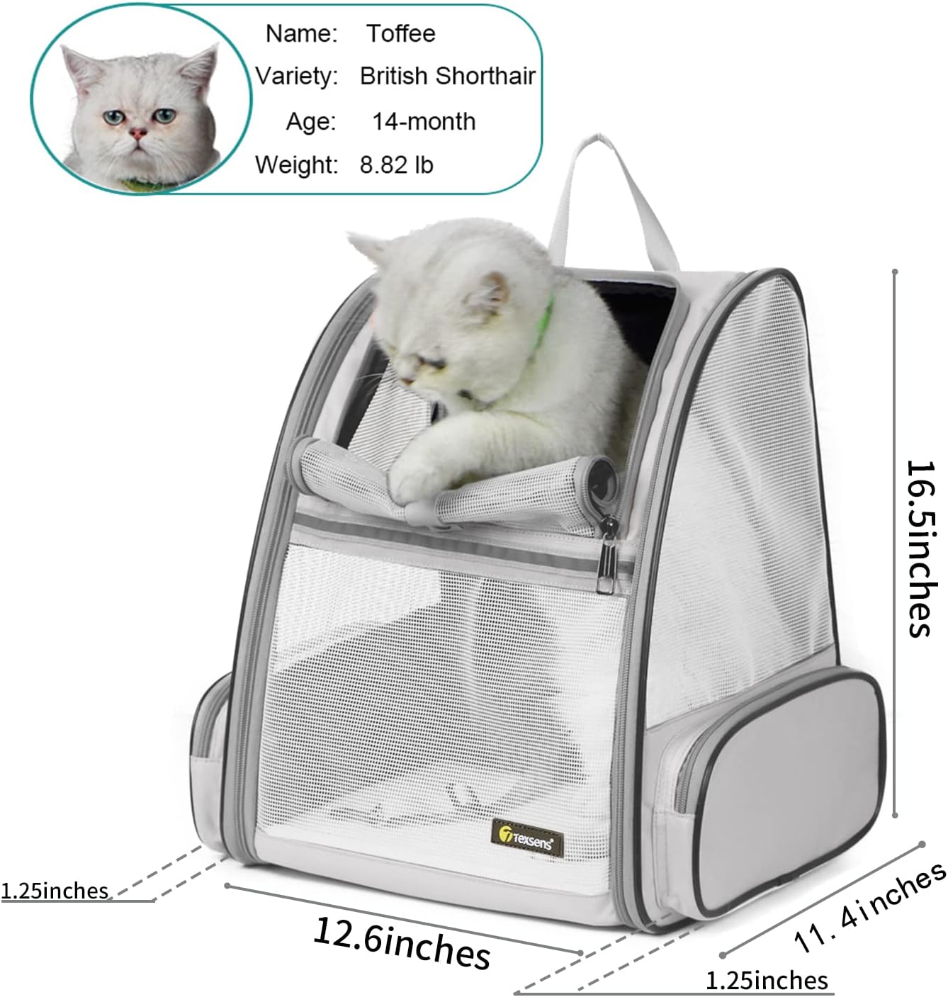 Texsens Innovative Traveler Bubble Backpack Pet Carriers for Cats and Dogs
