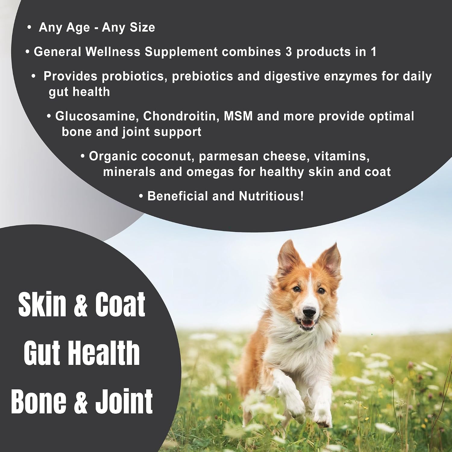 Dogzymes Complete - Probiotics, Prebiotics, Glucosamine, Chondroitin, MSM and Hyaluronic Acid, Complete Skin and Coat Care (2 Pound)
