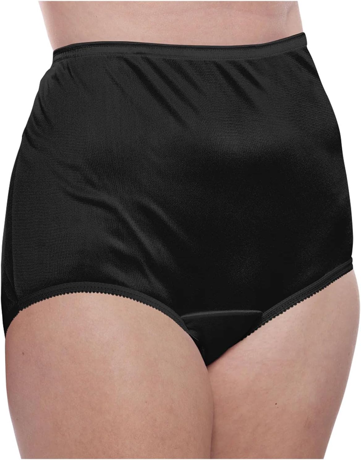 Teri Women's 331 Plain Jane Classic Nylon Silky-Smooth Lightweight Breathable Full Coverage Brief Panty - 4 Pack