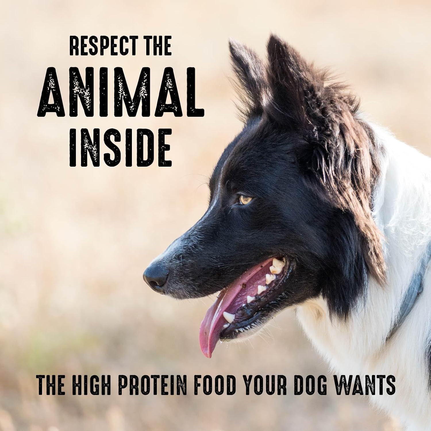 CRAVE Grain Free High Protein Natural Adult Dry Dog Food, Chicken, 4 lb | 34% protein, real animal protein, no by-product meal, no corn, wheat, soy, no artificial flavors, energy support