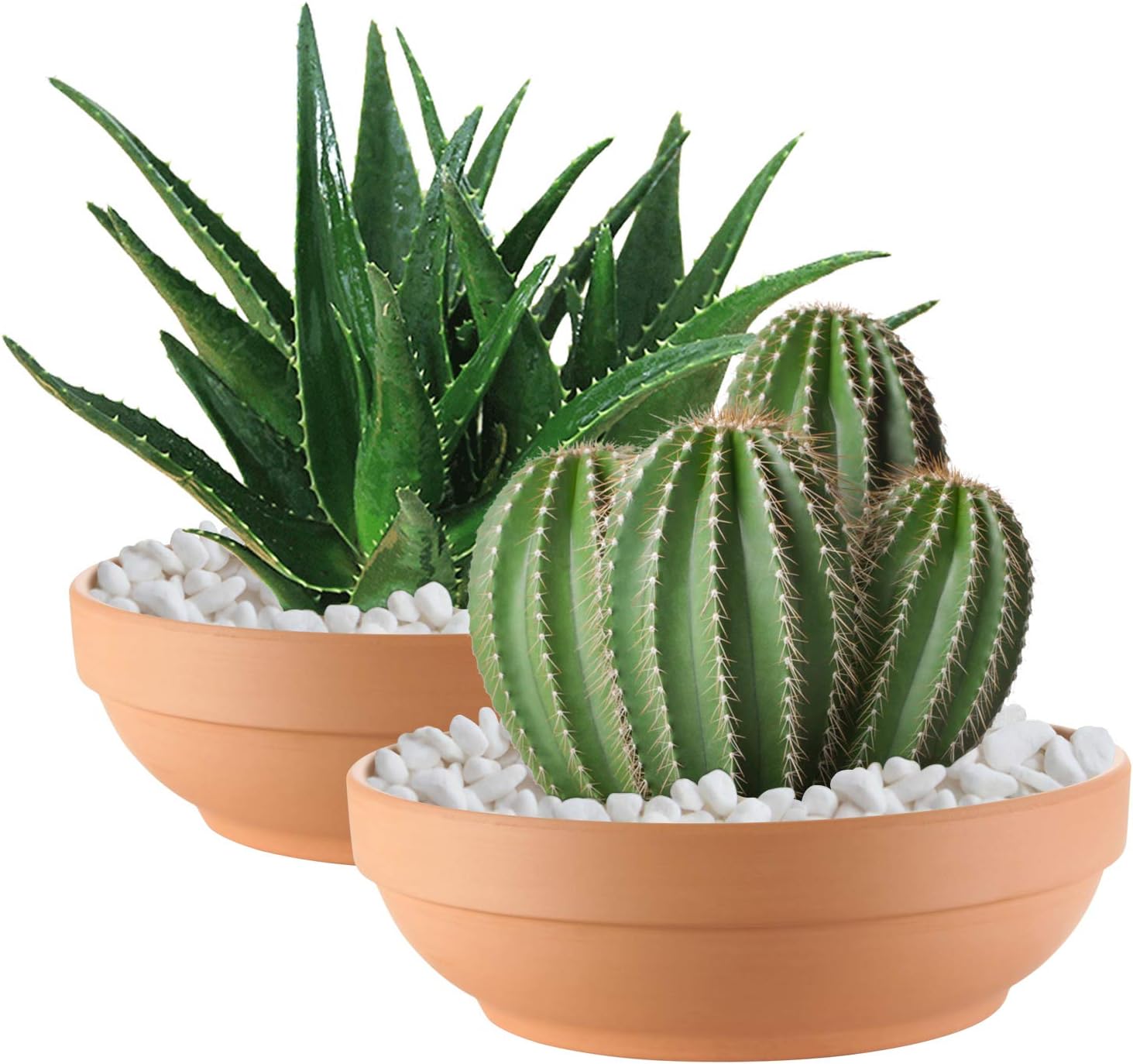 Laerjin Terracotta Pots, 6.43 Inch Shallow Pots with Drainage Hole, 6 Pack