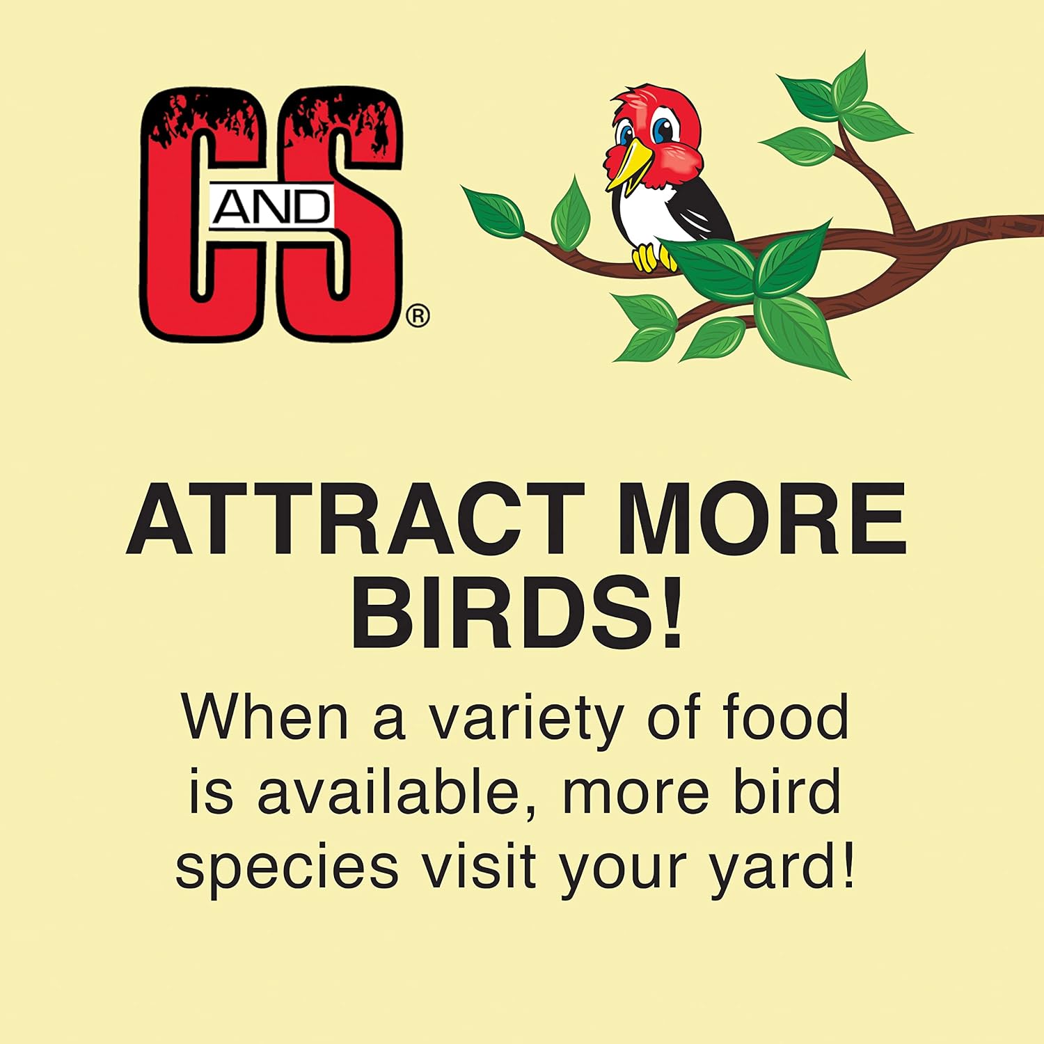 C&S CS12553 11.75 Oz Hot Pepper Delight Wild Bird No Melt Suet Dough