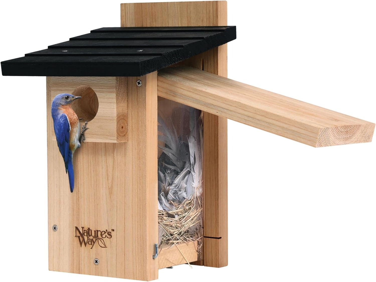 Nature's Way Bird Products CWH4 Cedar Bluebird Viewing House