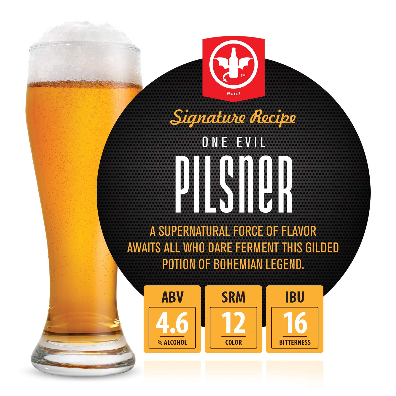 Premium Beer Kit Bonus with Bottles - Conical Fermenter Eliminates Sediment and Makes Great Tasting Home Made Beer - 1 Gal. Pilsner, Stout