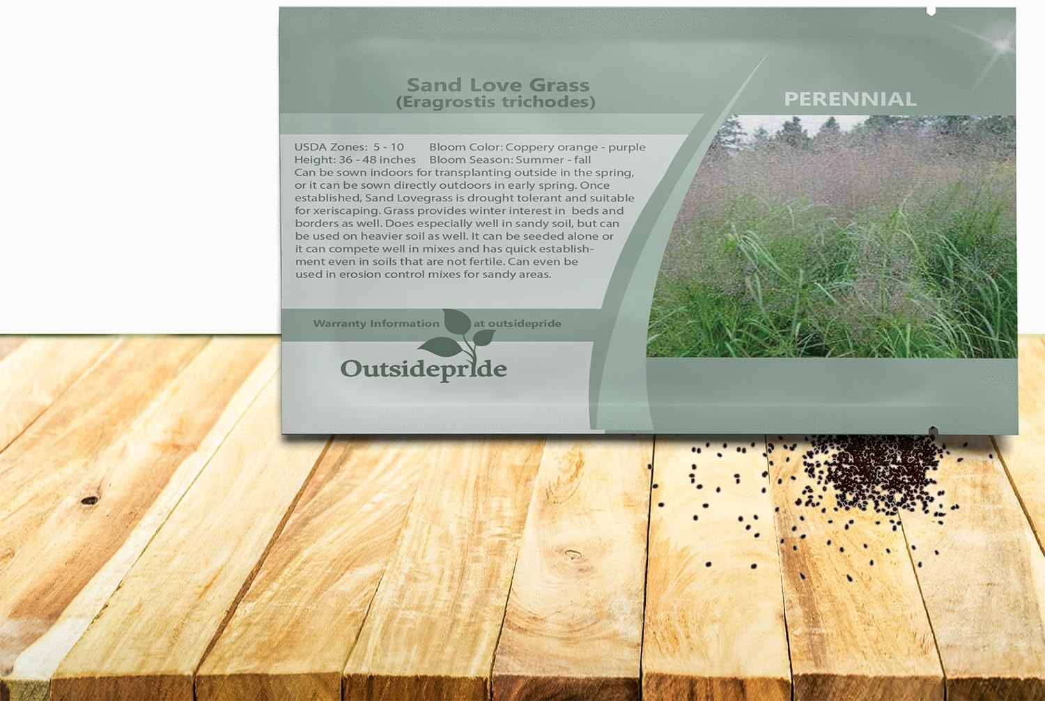 Outsidepride 500 Seeds Perennial Eragrostis Spectabilis Ornamental Love Grass Seed for Planting