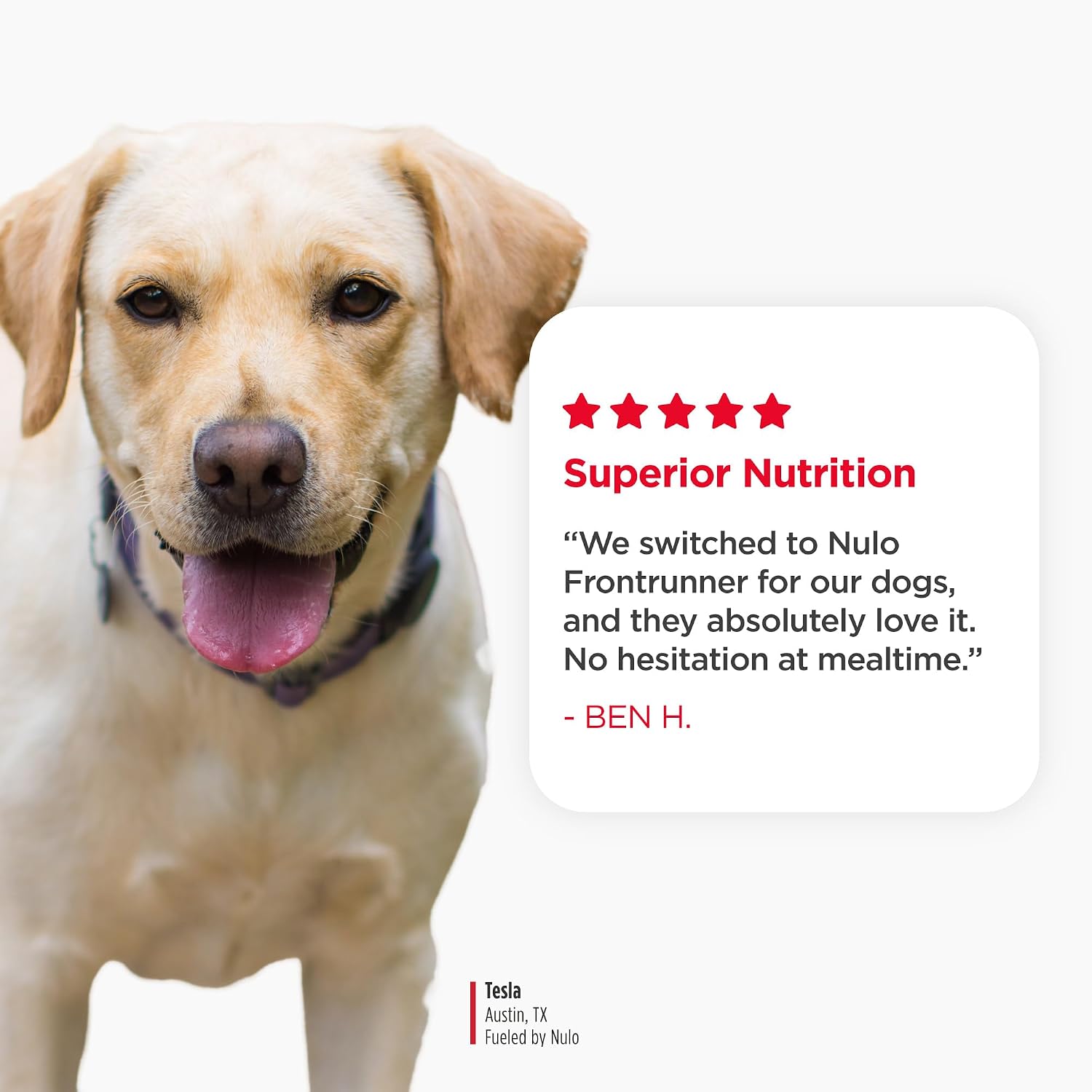Nulo Frontrunner Dry Dog Food - Adult High-Protein Beef, Barley & Lamb Recipe, Natural Kibble with Ancient Grains, Probiotics, Taurine