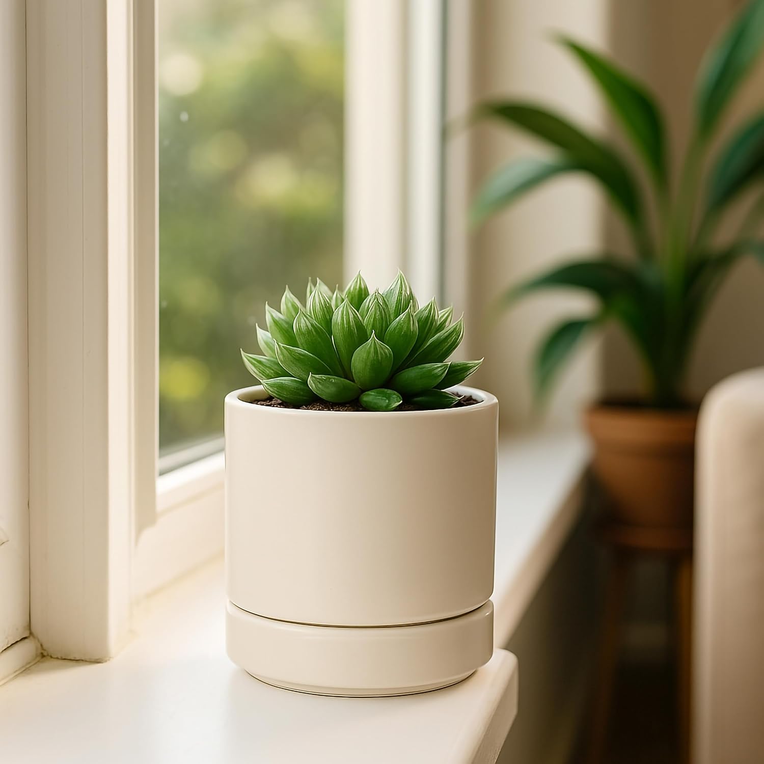 D'vine Dev 2-Pack Ceramic Pots with Saucers, White/Grey, 4.7 in, 94-V-B-6