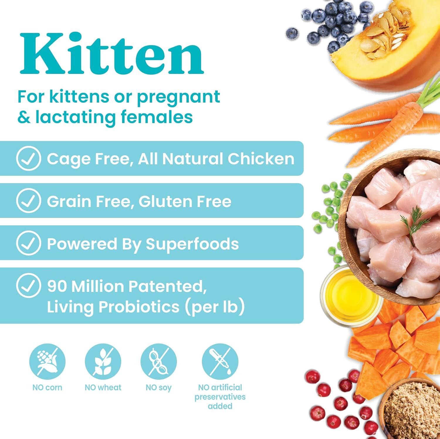 Solid Gold Dry Cat Food for Indoor Cats of All Ages - W/Lamb, Brown Rice, Barley, Probiotics & Fiber for Gut Health- Holistic & Healthy Cat Kibble for Kittens & Adults - Dry Kibble for Cats - 4 LB