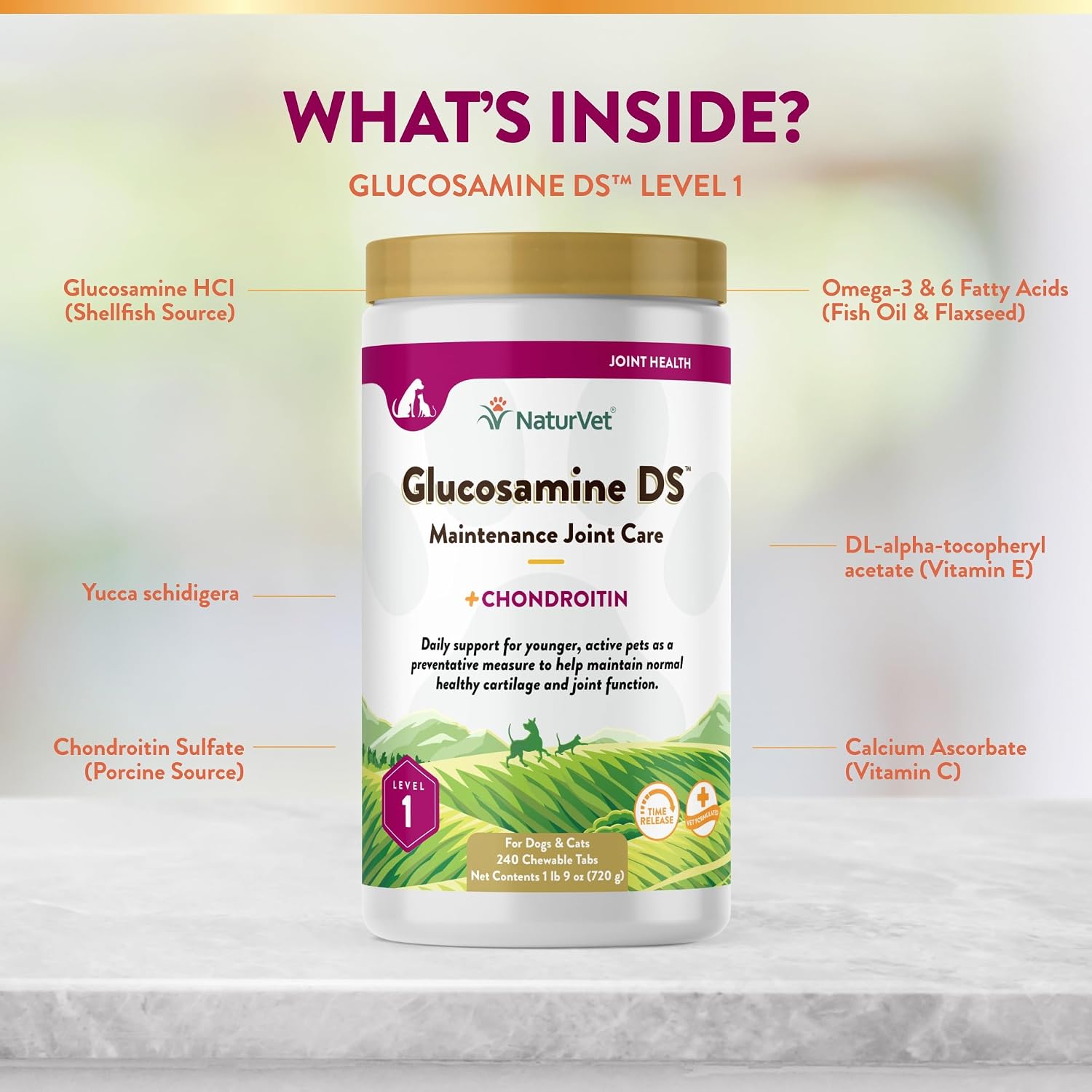 NaturVet – Glucosamine DS Plus - Level 2 Moderate Care – Supports Healthy Hip & Joint Function – Enhanced with Glucosamine, MSM & Chondroitin – for Dogs & Cats–70 Soft Chews