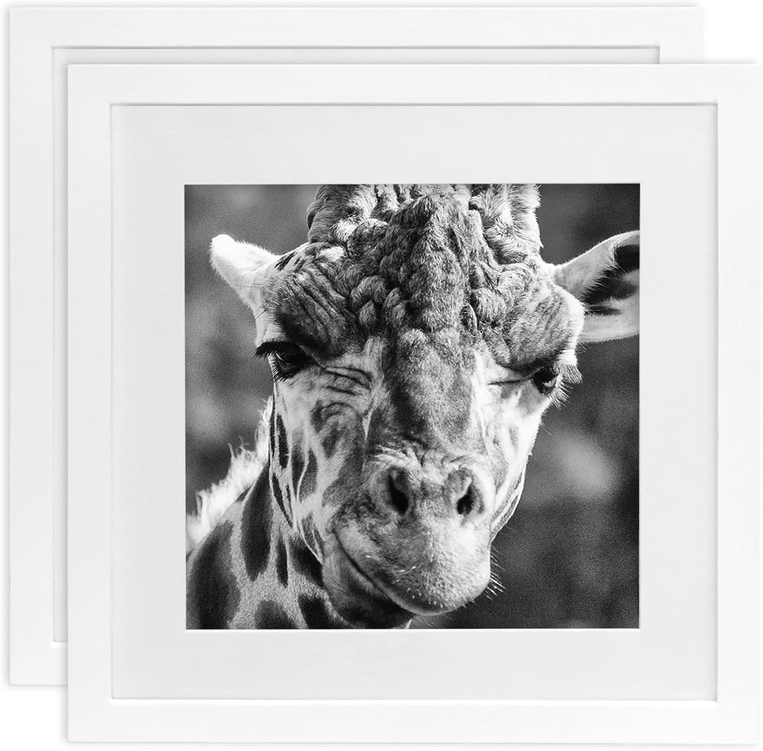 Picture Frames 8x8 2 Pack Made of Solid Wood Black for Wall Mounting and Tabletop Display