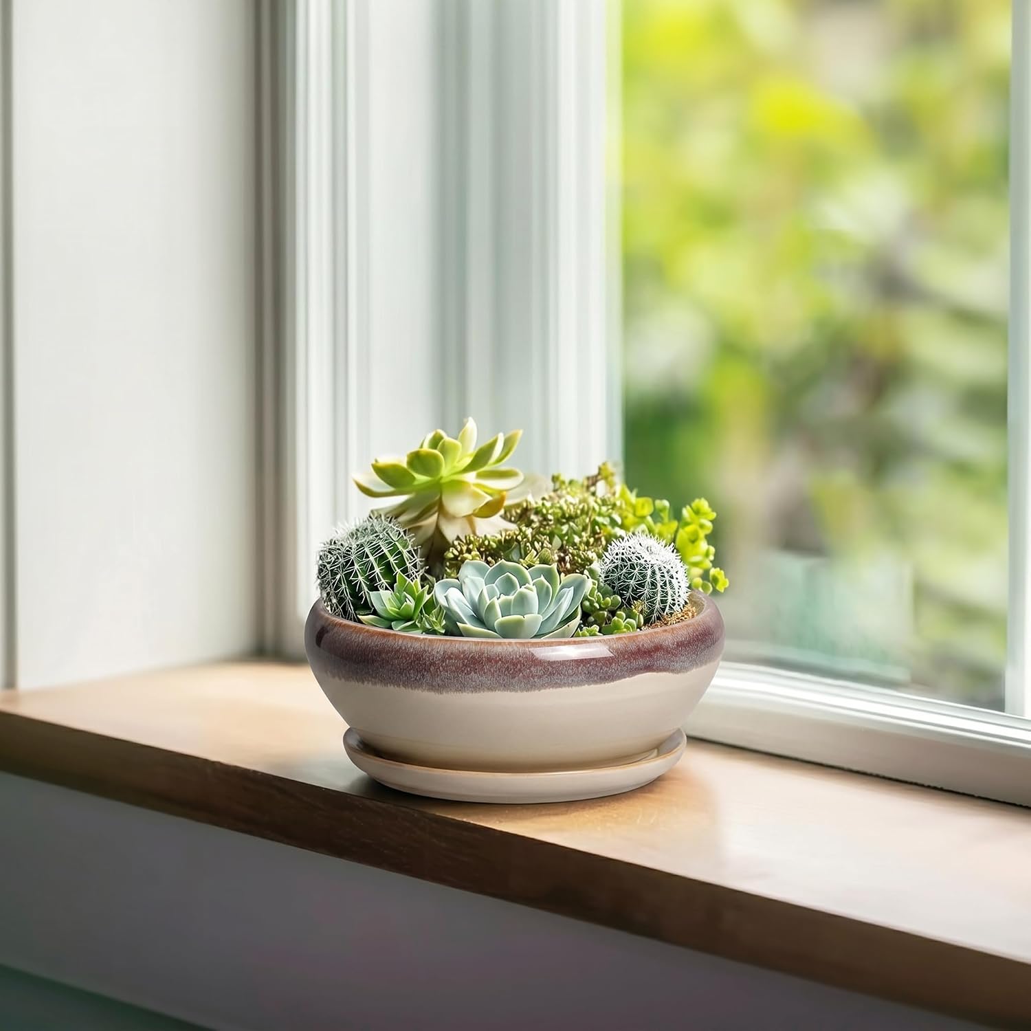 SQOWL 7 Inch Round Ceramic Succulent Planter Pot Drip Glazed Shallow Planter with Drainage Bamboo Tray for Indoor Plants