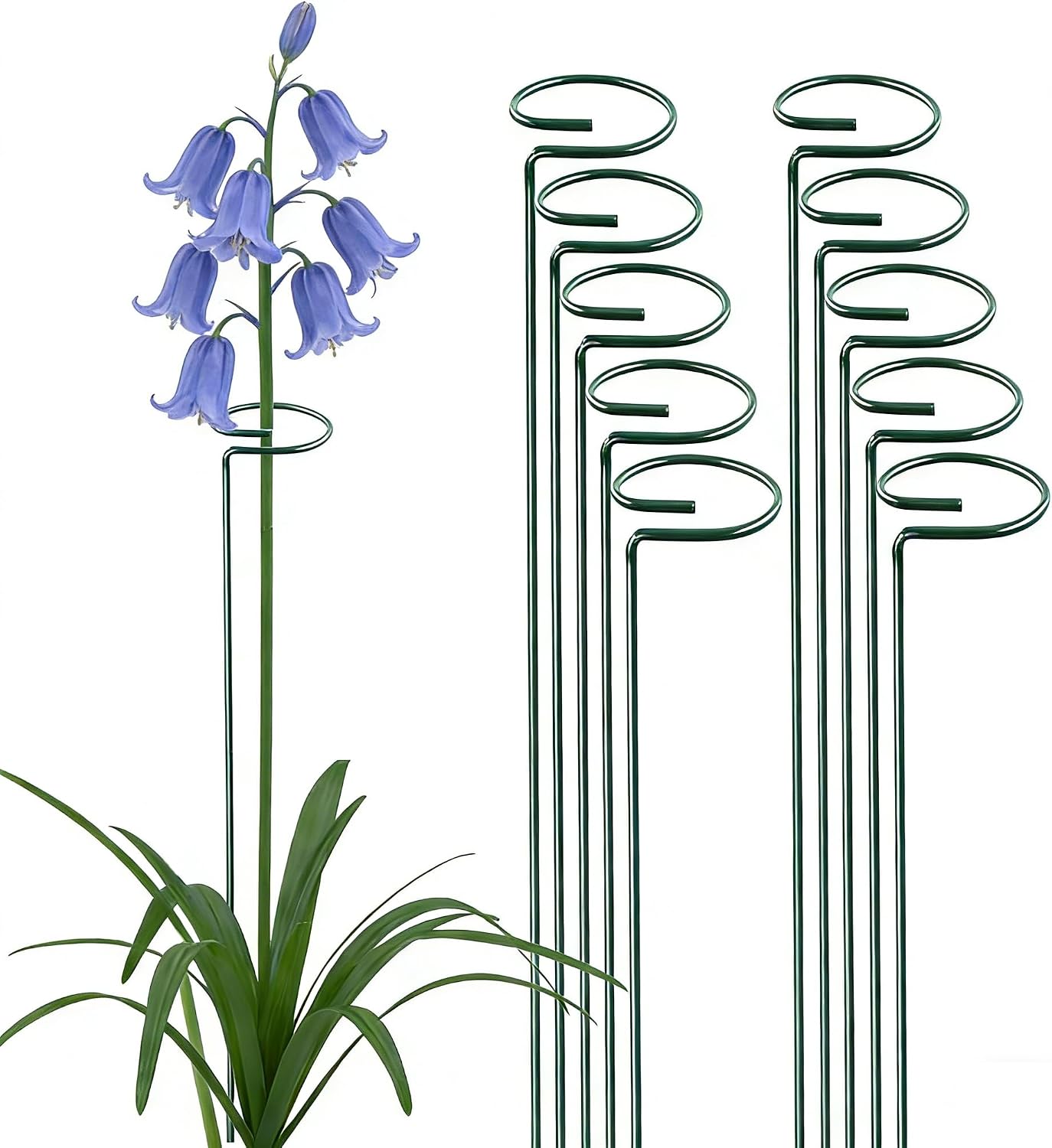 10 Pieces 24 inch Green Single Stem Plant Stakes Flower Support Rings,Gardening Planter Cages for Single Stem Flowers, Amaryllis, Peony, Lily,Narcissus