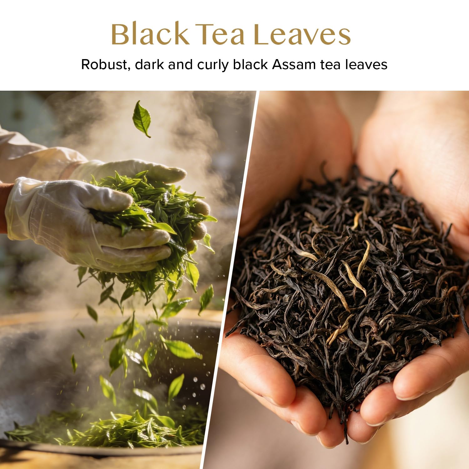 VAHDAM, Green Tea Leaves From Himalayas 170+ Cups (12oz) High Elevation Grown Green Tea Leaves From Himalayas | Pure Unblended Single Origin Green Loose Leaf Tea | Vacuum Sealed