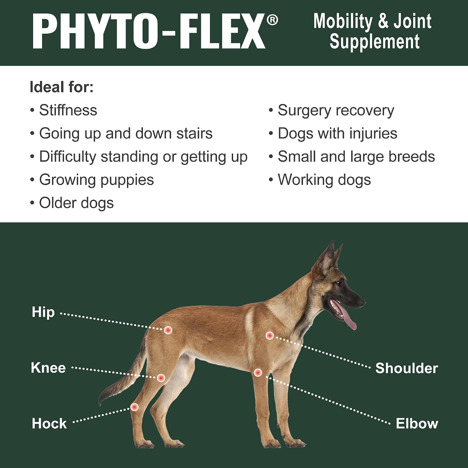 Dogzymes Phyto Flex - Glucosamine, Chondroitin, MSM and Hyaluronic Acid… (2 Pound)