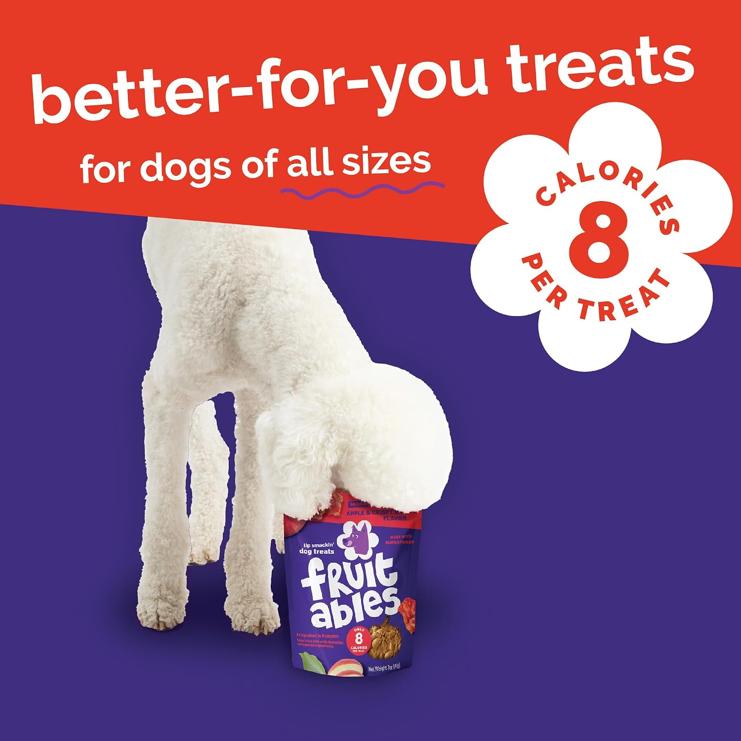 Fruitables Baked Dog Treats, Low Calorie Treats, Pumpkin & Banana, 7oz | Healthy Dog Treats, Training Treats, Crunchy Dog Biscuits, Limited Ingredient Recipe, Healthy Puppy Snacks, Made in USA