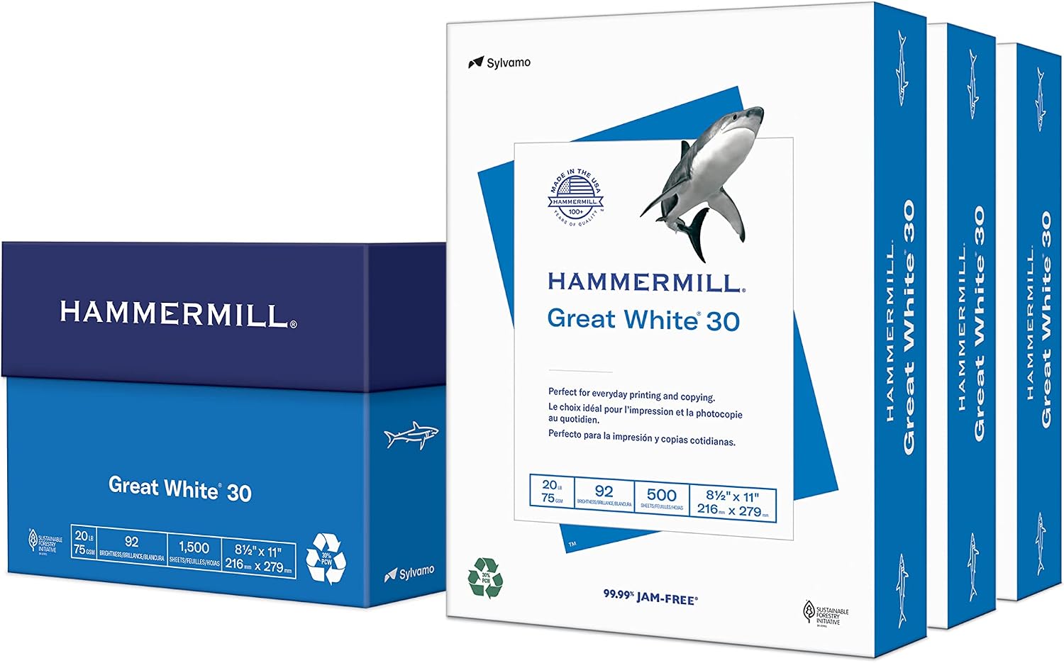 Hammermill Printer Paper, Great White 30% Recycled Paper, 8.5 x 11-1 Ream (500 Sheets) - 92 Bright, Made in the USA, 086710