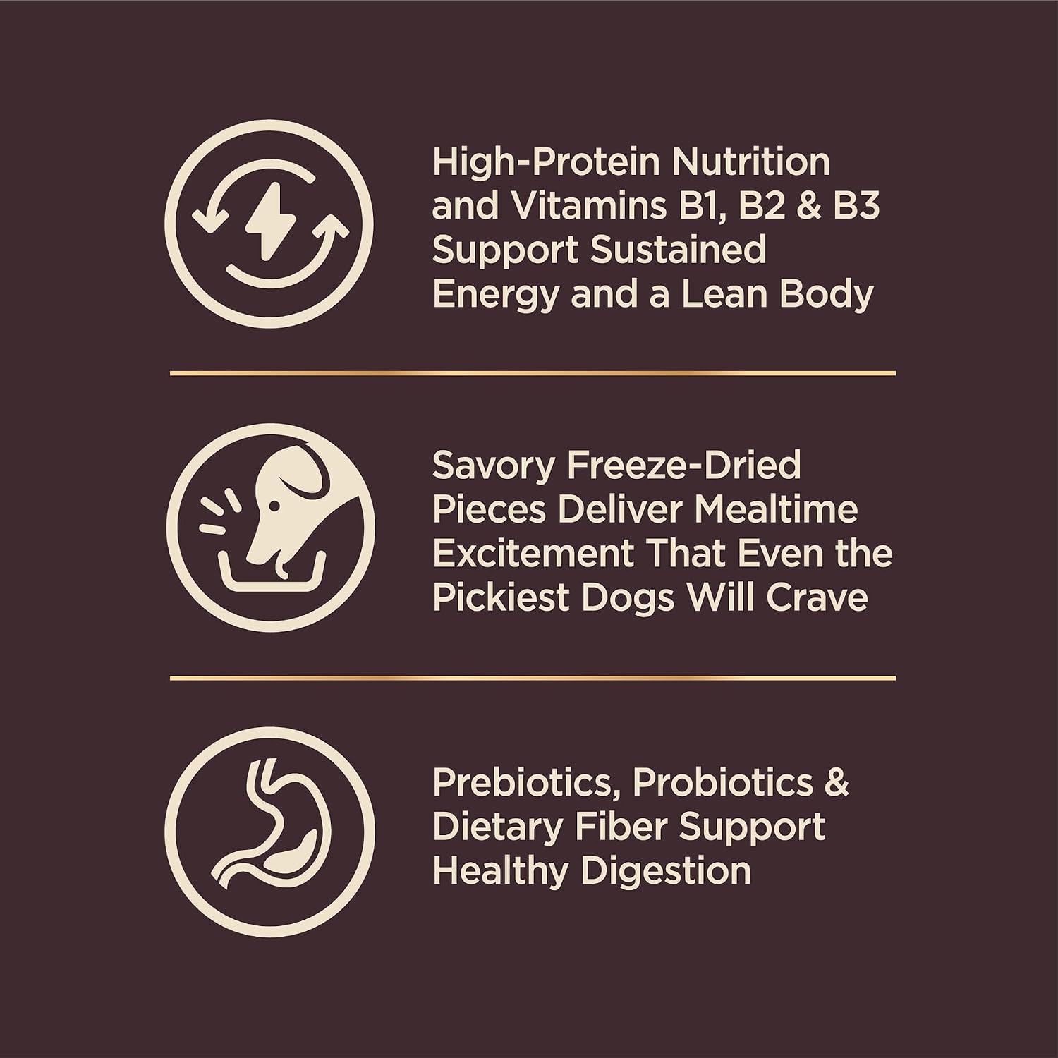 Wellness CORE+ Small Breed Adult Dry Dog Food with Freeze Dried Pieces, Wholesome Grain Kibble+, Natural, High Protein, Turkey and Chicken Recipe, 4 lb Bag