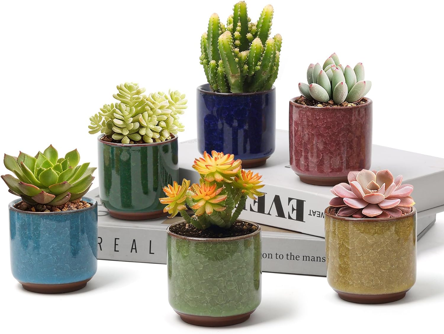 T4U 2.5 Inch Small Ceramic Succulent Planter Pot with Drainage Hole Set of 6, Ice Crack Glaze Plant Container for Cactus, Gardening Plant Gifts for Women Mom Aunt Home Office Decor | Cactus planters set, indoor herb garden, bonsai tree starter, tabletop…