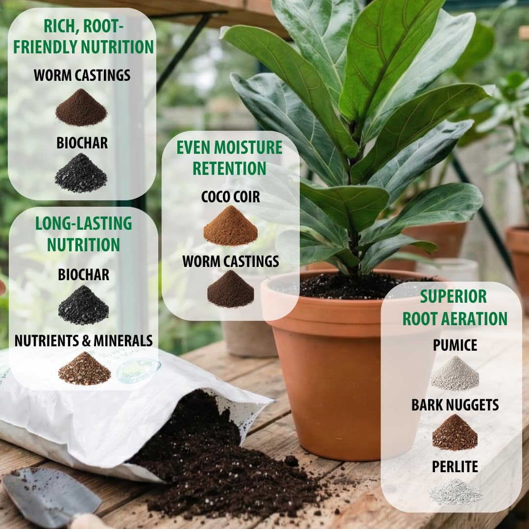 Organic Fiddle Leaf Fig Soil, Well-Draining Potting Mix, Large 7.5L Bag