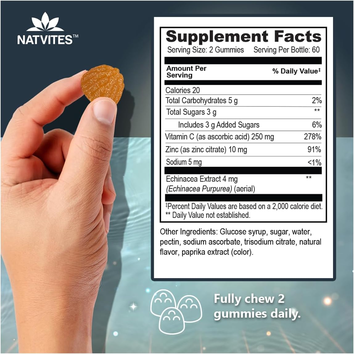Vitamin C and Zinc Gummies for Adults with Echinacea and Rose Hips – Orange Flavored Gummy Vitamins for Women & Men – Immune Support