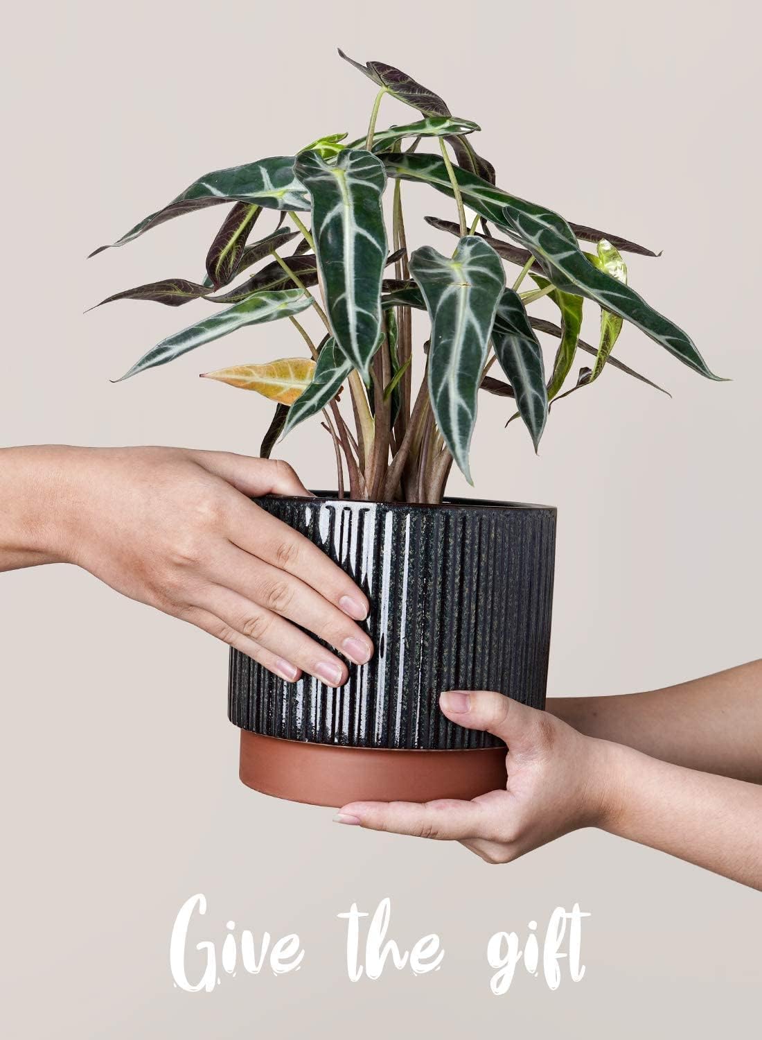 LE TAUCI Ceramic Plant Pots with Drainage Holes, Set of 3, 8+6.7+5.5 Inch Stripe Garden Planter Pots for Outdoor Indoor Plants Flower