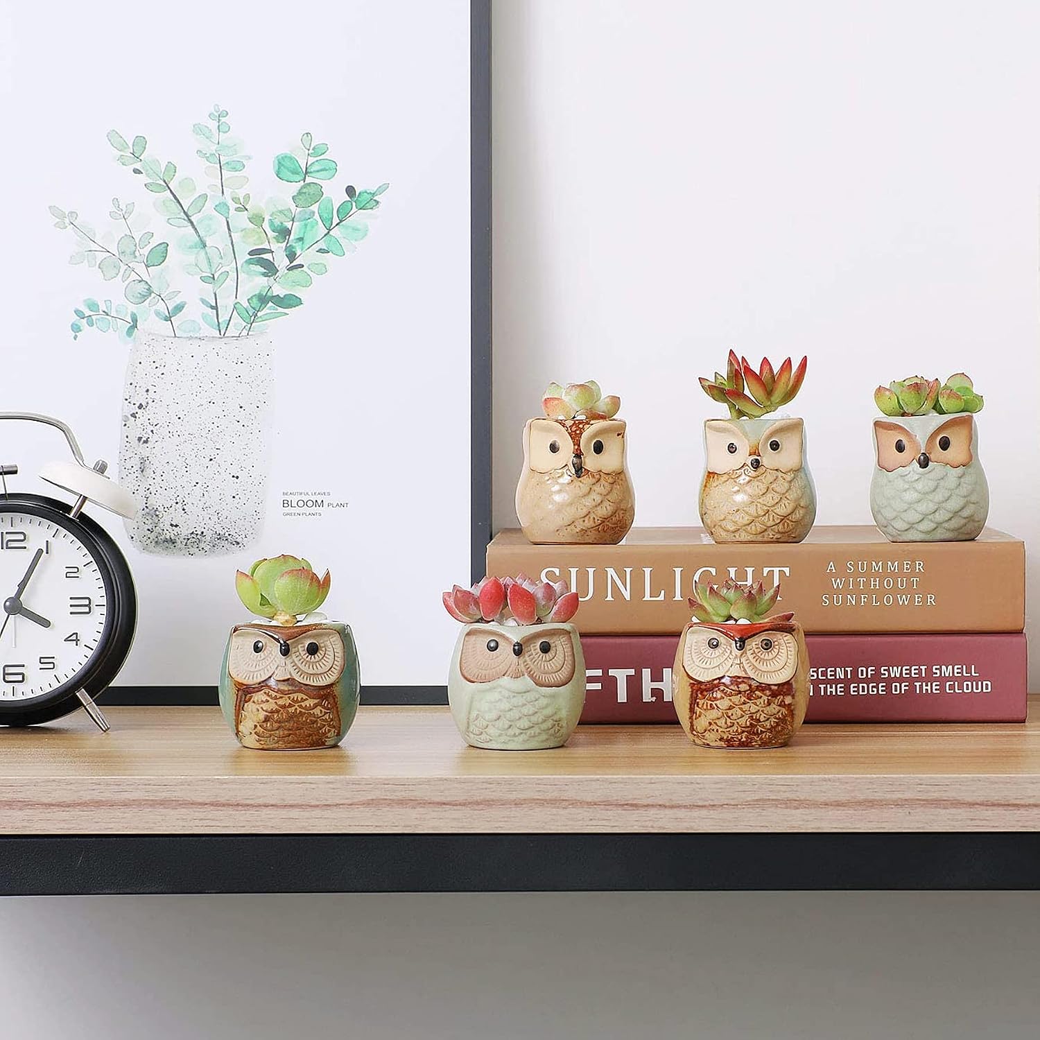 T4U Mini Succulent Ceramic Pots for Gifts, Small Planters for Decor 6 Pack | Planters with Drainage, for live cactus plants, bonsai tree starter pots, indoor windowsill decor, office desk accents