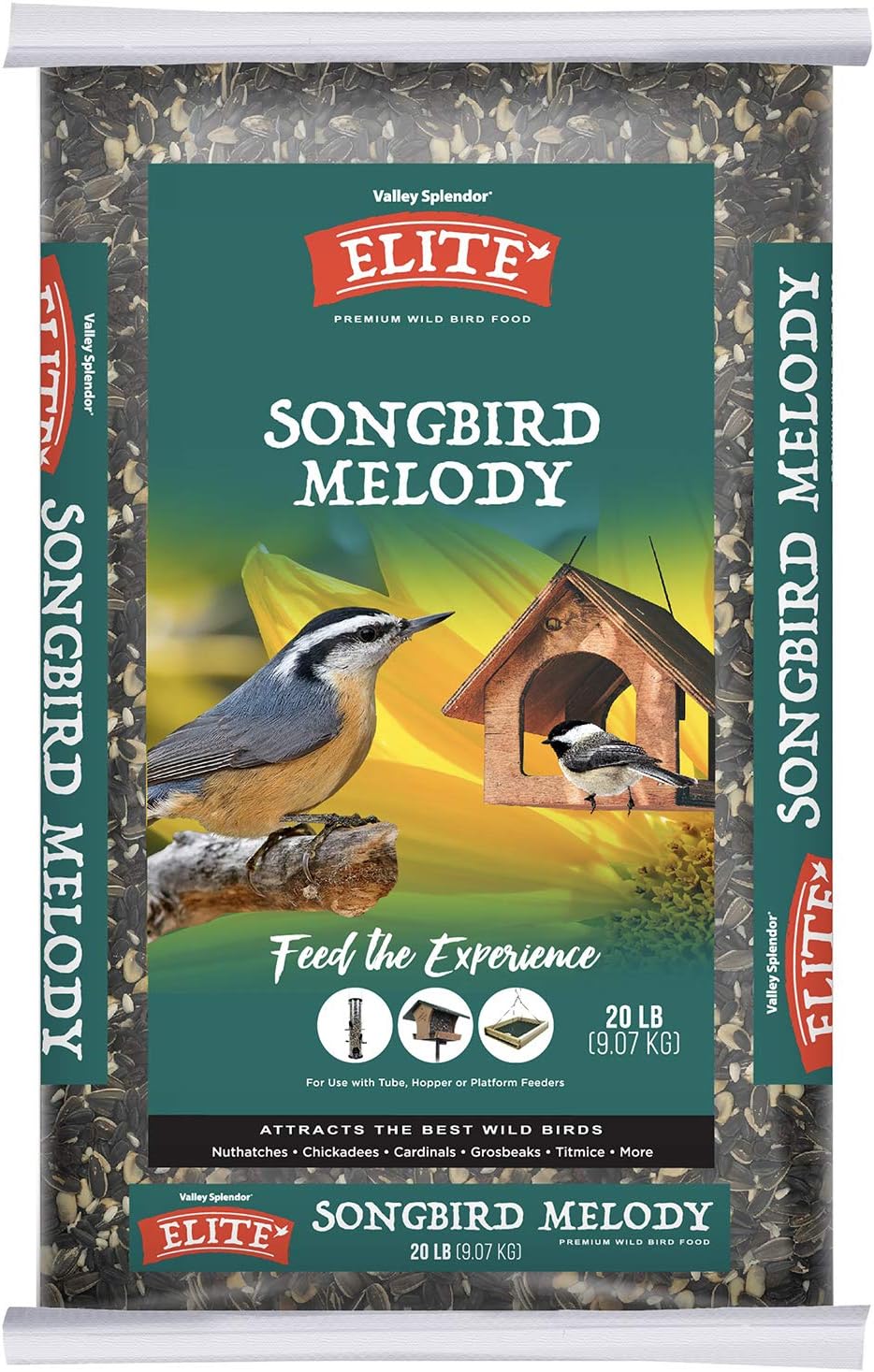 Songbird Melody