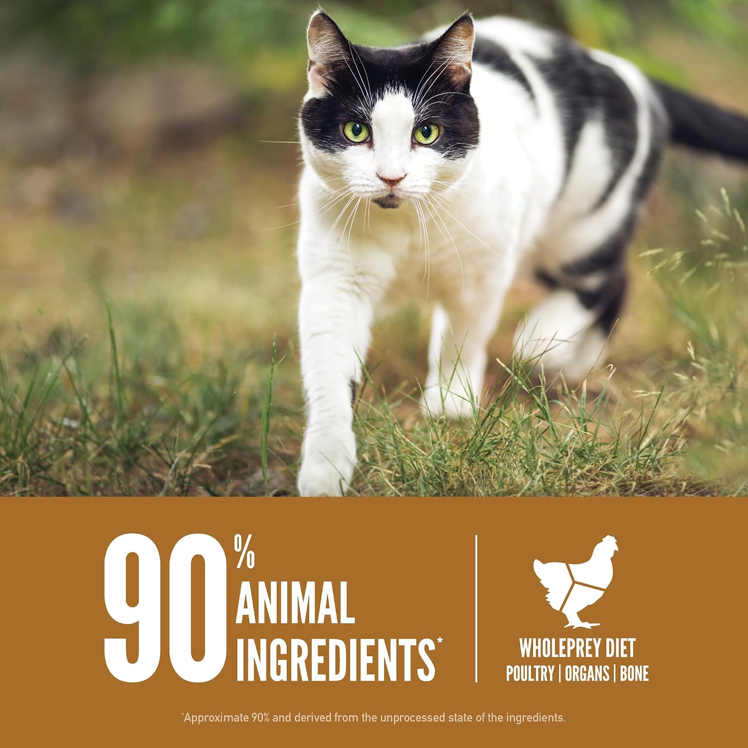 ORIJEN Grain Free WHOLEPREY Dry Cat Food Original Recipe 4lb. Bag | 90% Animal Ingredients, Freeze Dried, Fresh or Raw Ingredients, High Protein, Heart Health, Free-Run Poultry