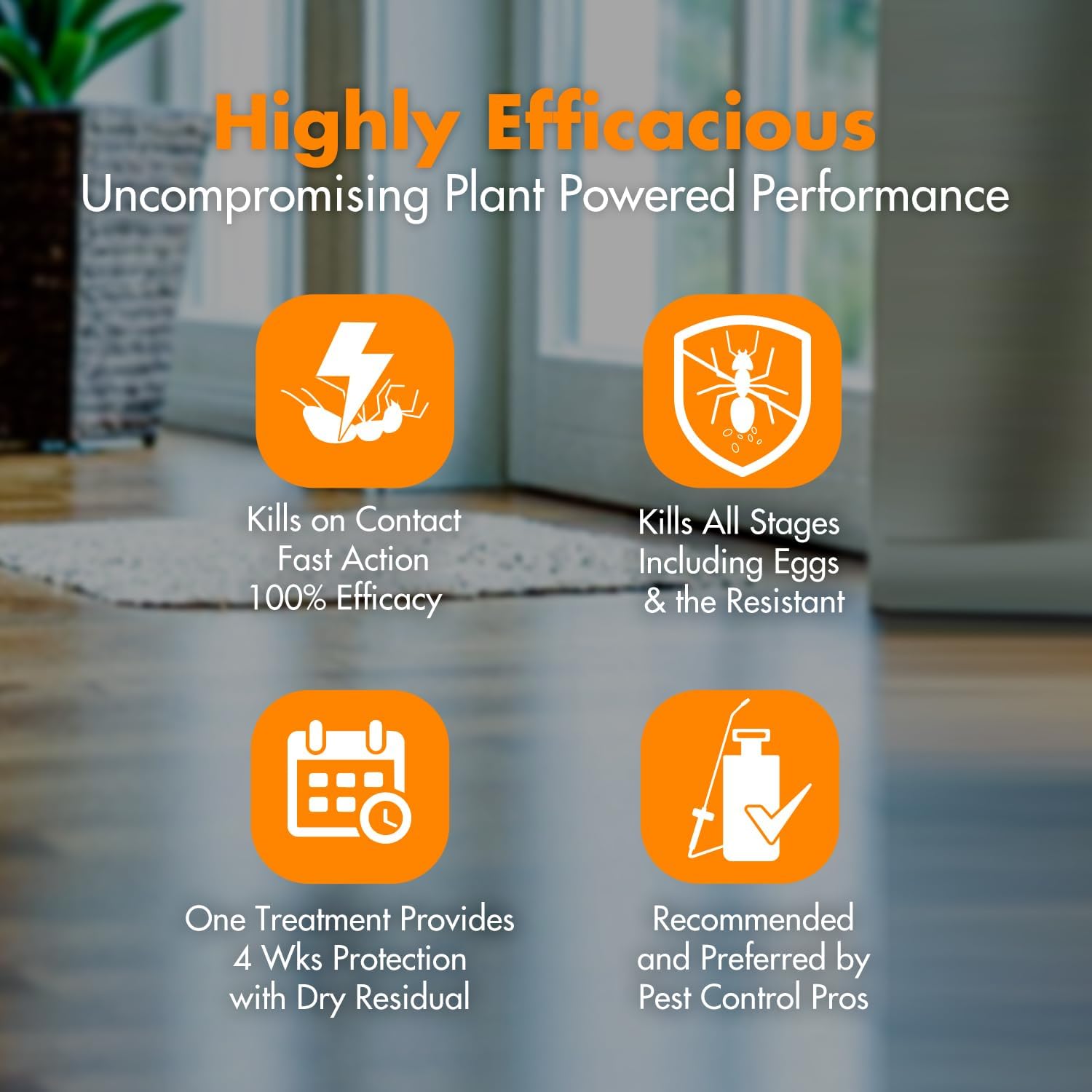 EcoVenger By EcoRaider Ant Killer & Crawling Insect Killer, 16 OZ Ready to Use, Indoor & Outdoor, Kills & Repels, Lasting Prevention, Natural & Non-Toxic Plant Based Formula, Pleasant Citrus Scent