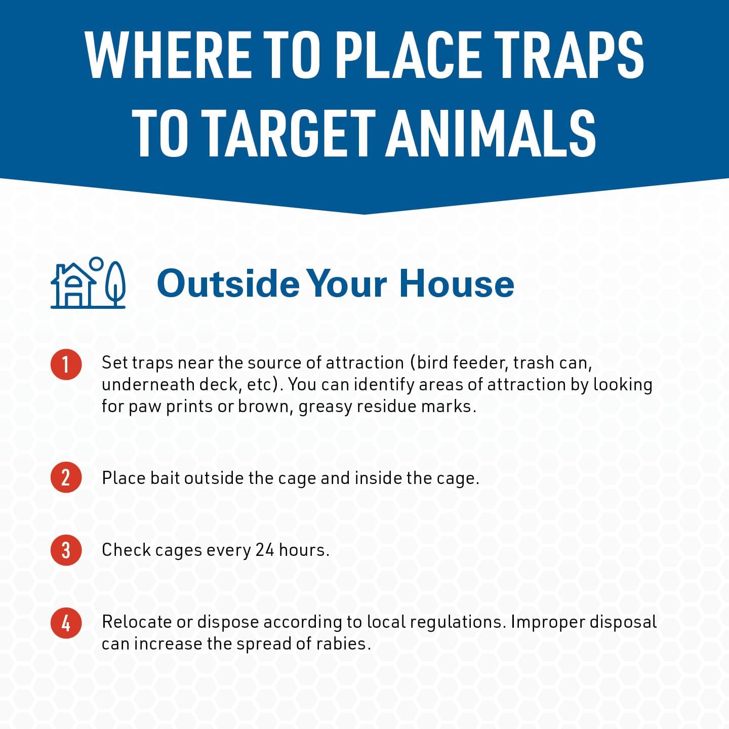 JT Eaton Answer Humane Live Catch Trap for Coyotes & Large Pests | Heavy-Duty Cage Trap; Catches Coyotes, Foxes, and Armadillos; Galvanized Wire; Humane Catch and Release