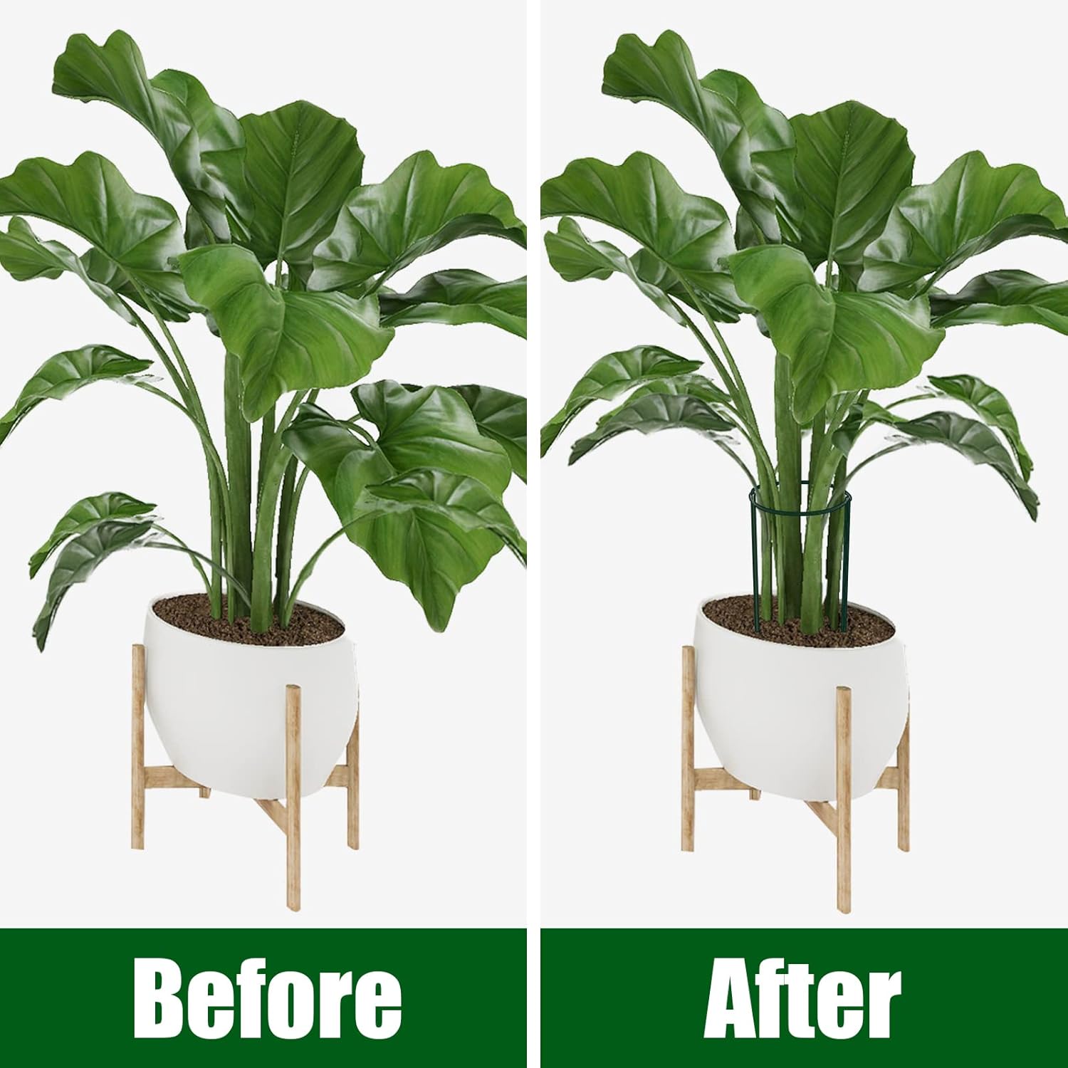FEED GARDEN Peony Cages and Supports, 6 Pack Plant Support Stakes for Outdoor & Indoor Plants