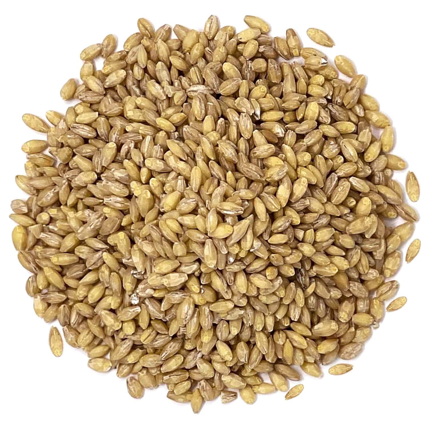 Food to Live Organic Hulled Barley, 15 Pounds – Non-GMO, 100% Whole Grain, Kosher, Vegan, Bulk. Suited for Home Brewing, Grinding. High in Fiber. Great for Chili, Hot Cereal, Salads, Soup.