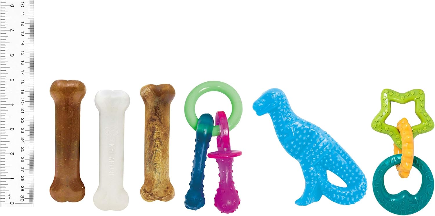 Nylabone Puppy Pacifier Chew Toy, Teething Toys for Puppies up to 25 lbs | Puppy teething toys with bacon flavor, soft material, textured nubs massage gums