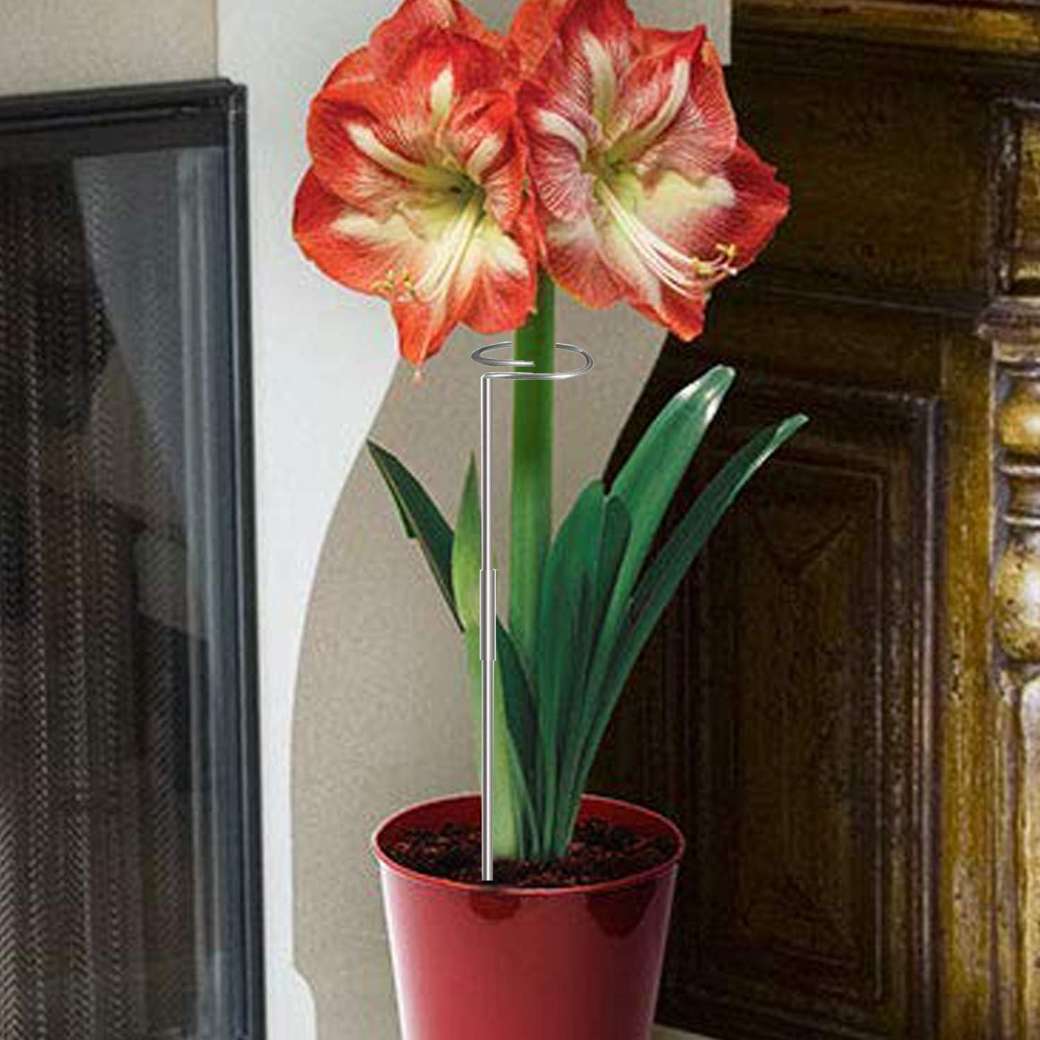 30 Inch Or 16 InchPlant Stakes for Flowers - 5 Pack, Adjustable Height