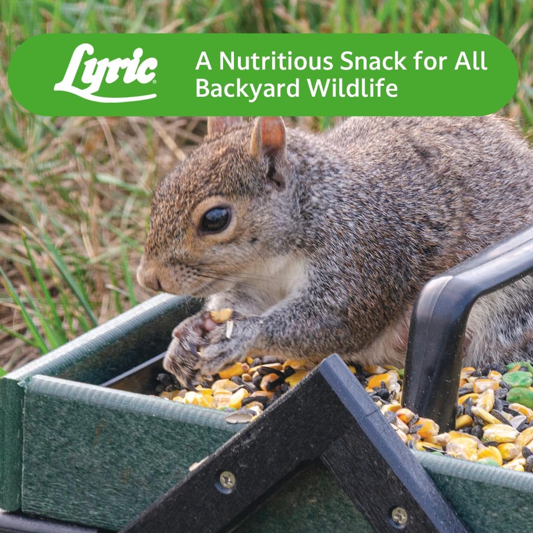 Lyric Wildlife Critter Food for Deer, Squirrels, Turkeys & Rabbits, Wild Bird Seed for Outside Feeders, 10 lb Bag | Food for Deer, Squirrels