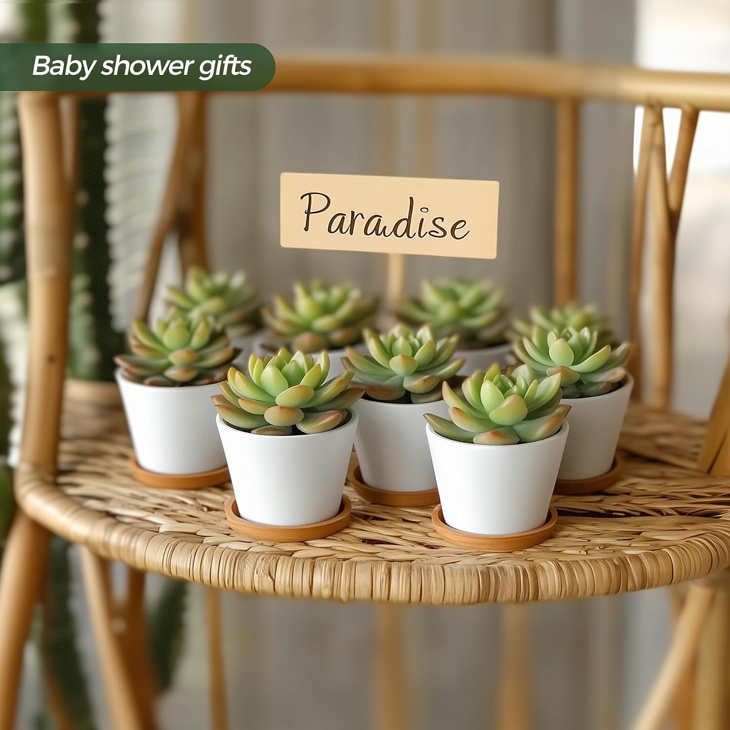 T4U Small White Succulent Planter Pots with Bamboo Tray Hexagon Set of 2, Geometric Ceramic Cactus Plant Holder, Succulent Plant Gifts for Gardener Women Coworker, Home Office Table Desk Decoration | Live cactus bonsai starter, Indoor windowsill decor, O…