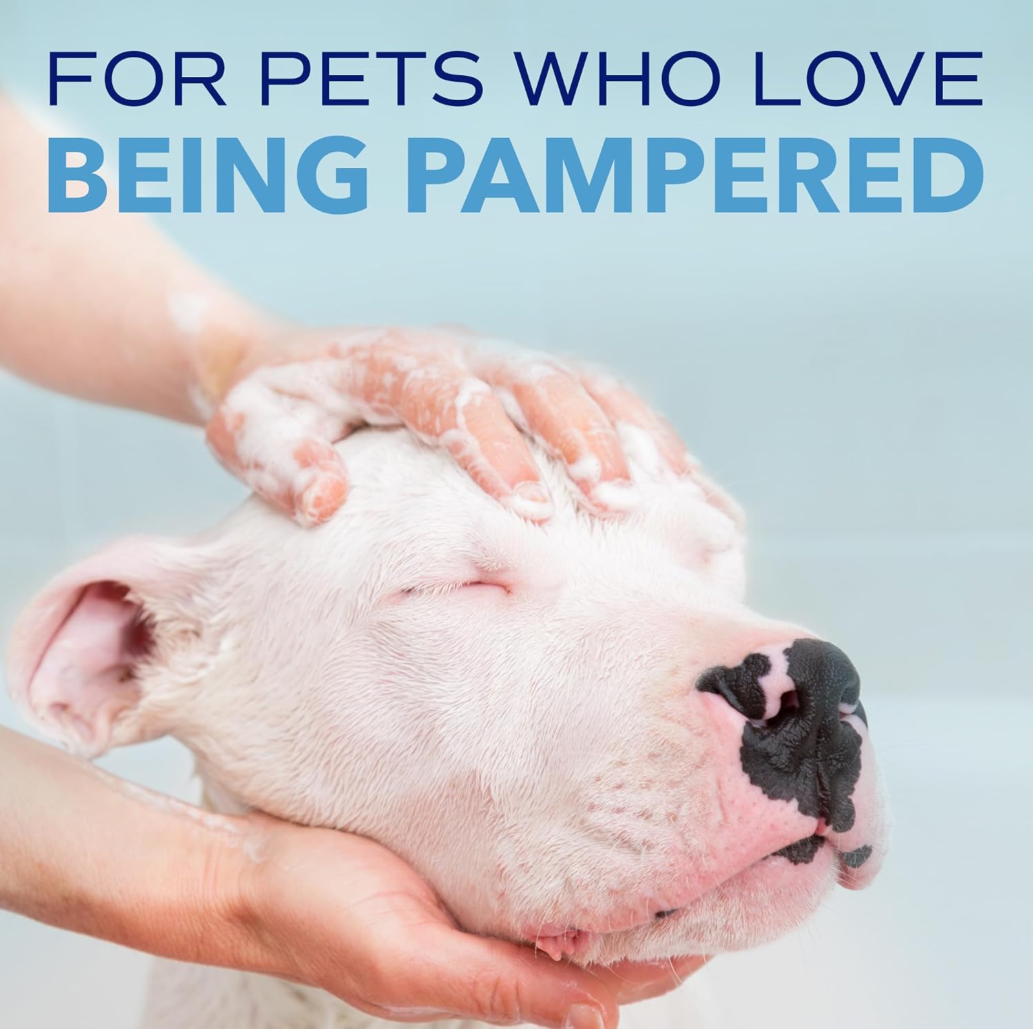 TropiClean SPA Tear Stain Remover for Dogs, Blueberry Facial Shampoo, 8oz | Tear Stain Remover | Whitening & Brightening | Tearless | Odor Eliminator | Made in USA