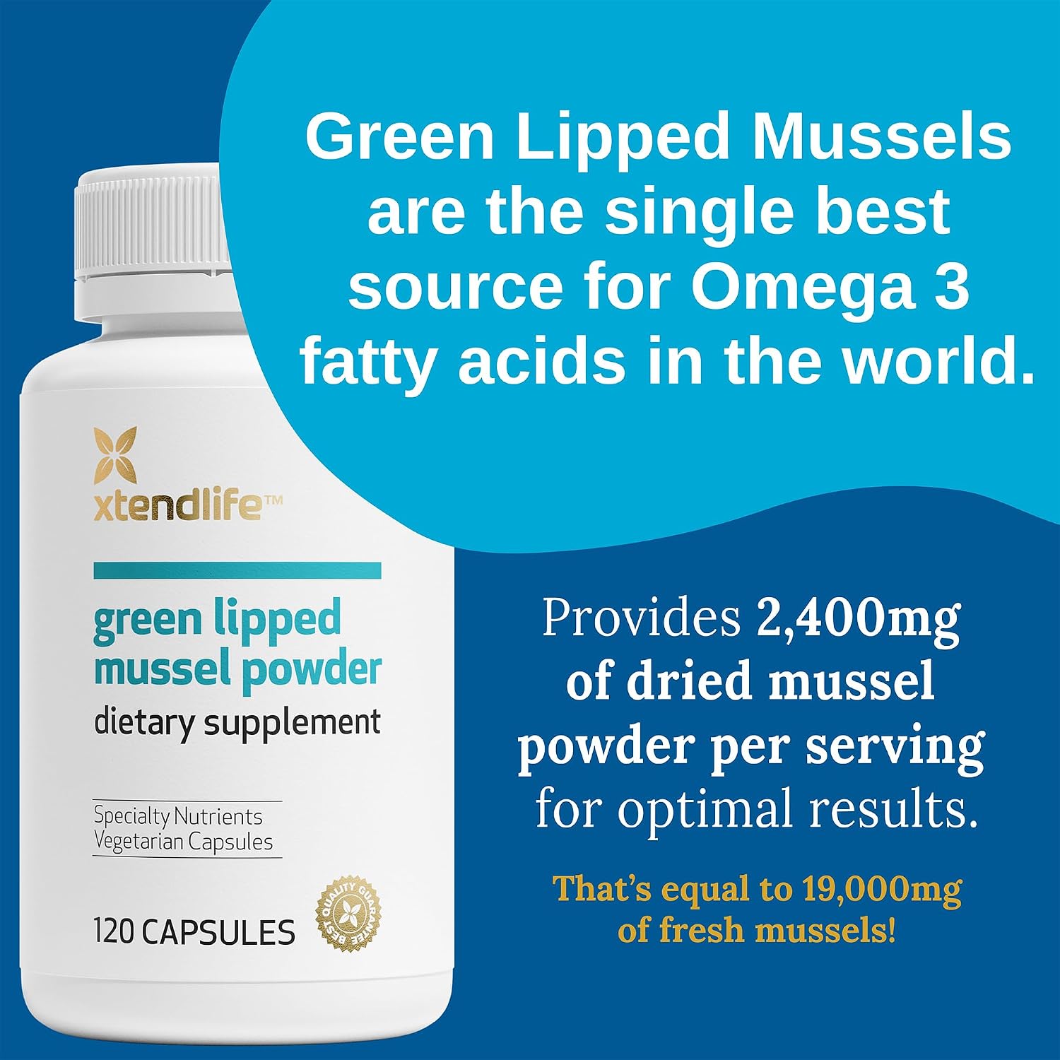 Xtendlife Green Lipped Mussel Supplement, 30 Day Supply | 2400mg Joint Support Formula with Omega‑3 Fatty Acids – New Zealand Sourced Mussel Powder for Mobility & Flexibility