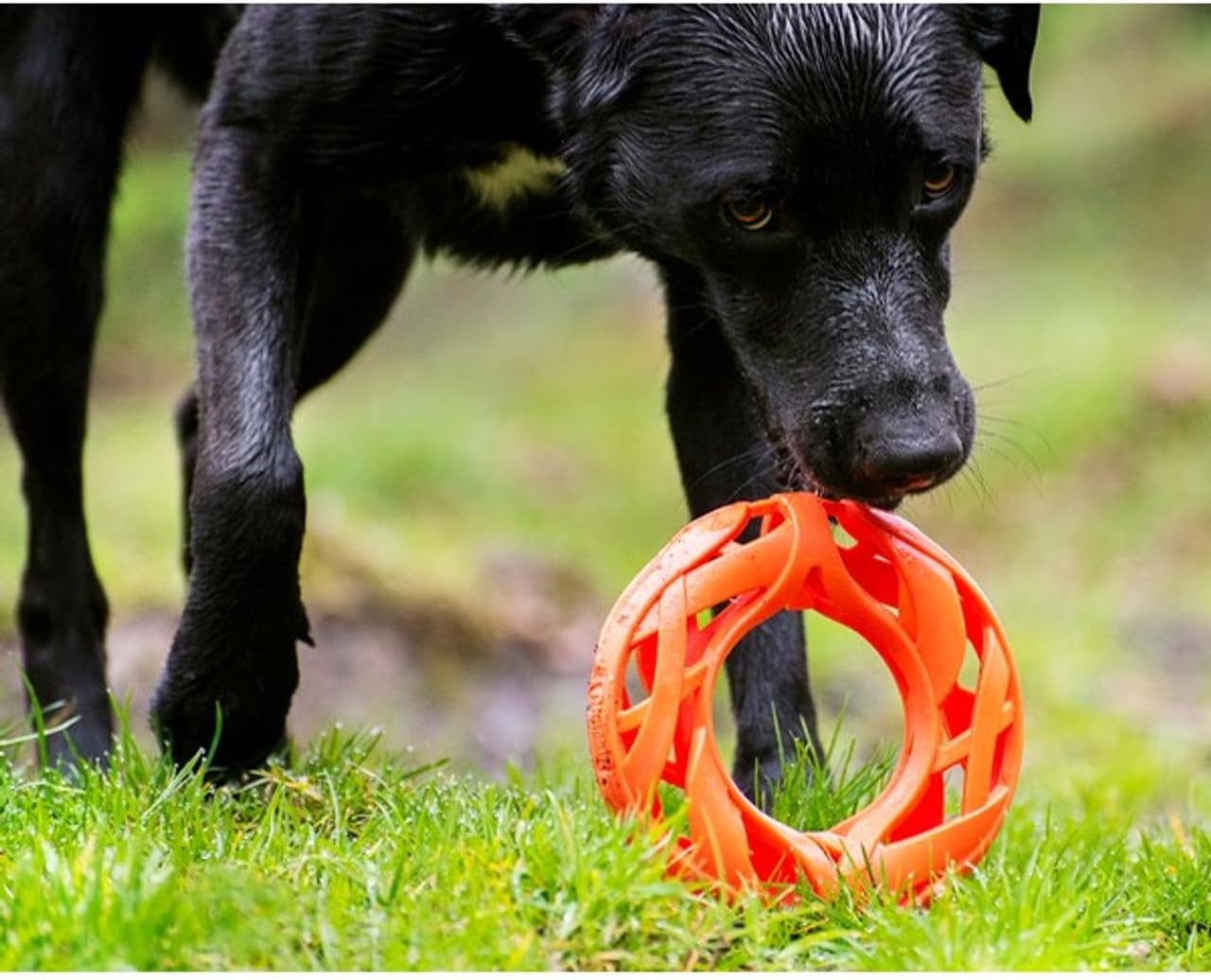 Chuckit! Air Fetch Ball Dog Toy, Small (2 Inch Diameter), for dogs 0-20 lbs, Pack of 2