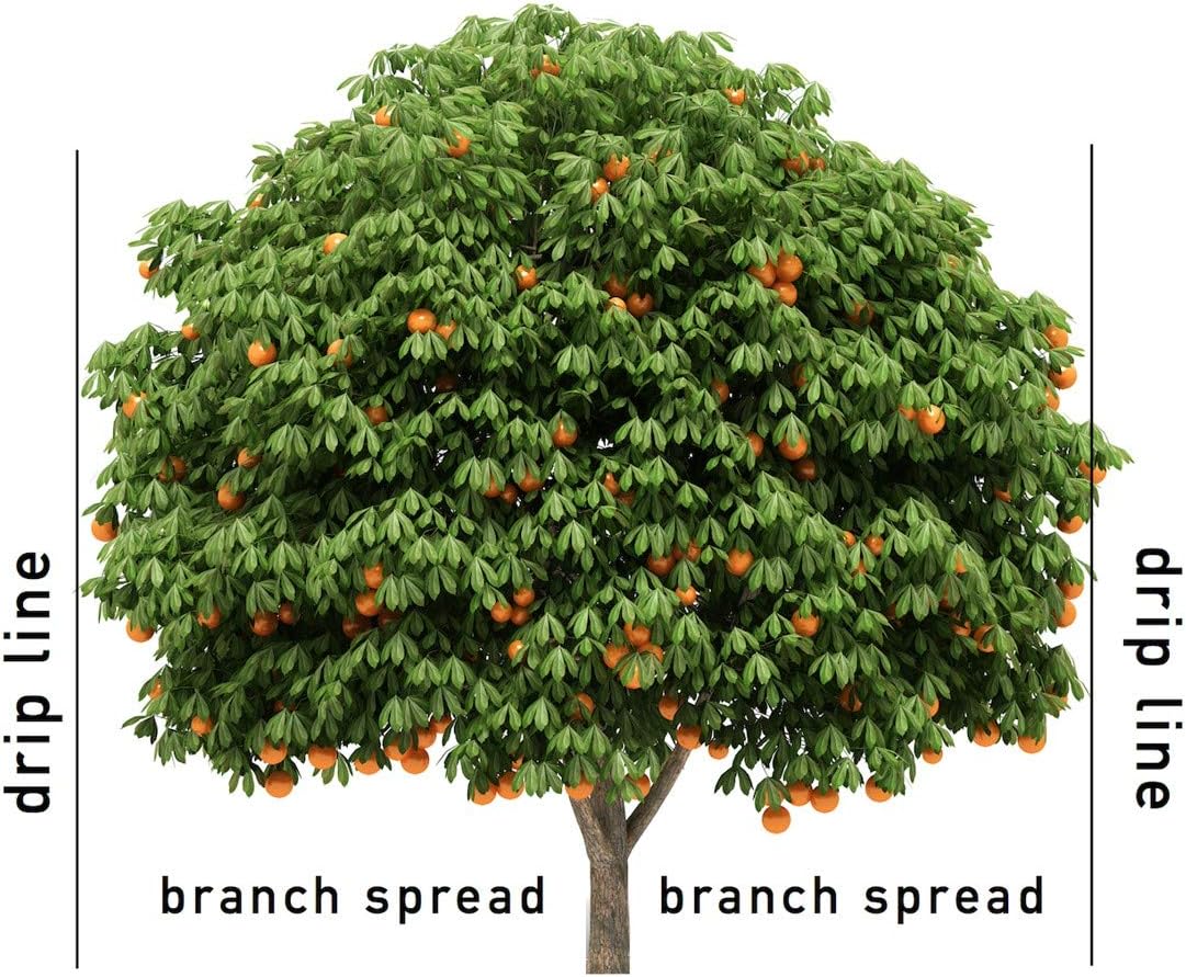 Jobe’s Slow Release Tree and Shrub Fertilizer Spikes, Easy Plant Care for Oak, Maple, Dogwood, Boxwood, and Many More Acid Loving Trees and Shrubs, 9 Count