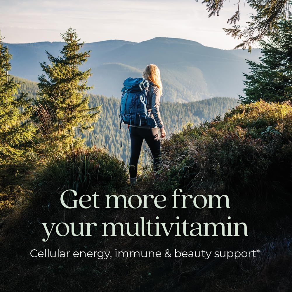 New Chapter Every Woman's One Daily Multivitamin - Bone, Energy & Immune Support* - Whole-Food Fermented Nutrients - No Added Sugar - Vegetarian & Gluten-Free - 72 Tablets