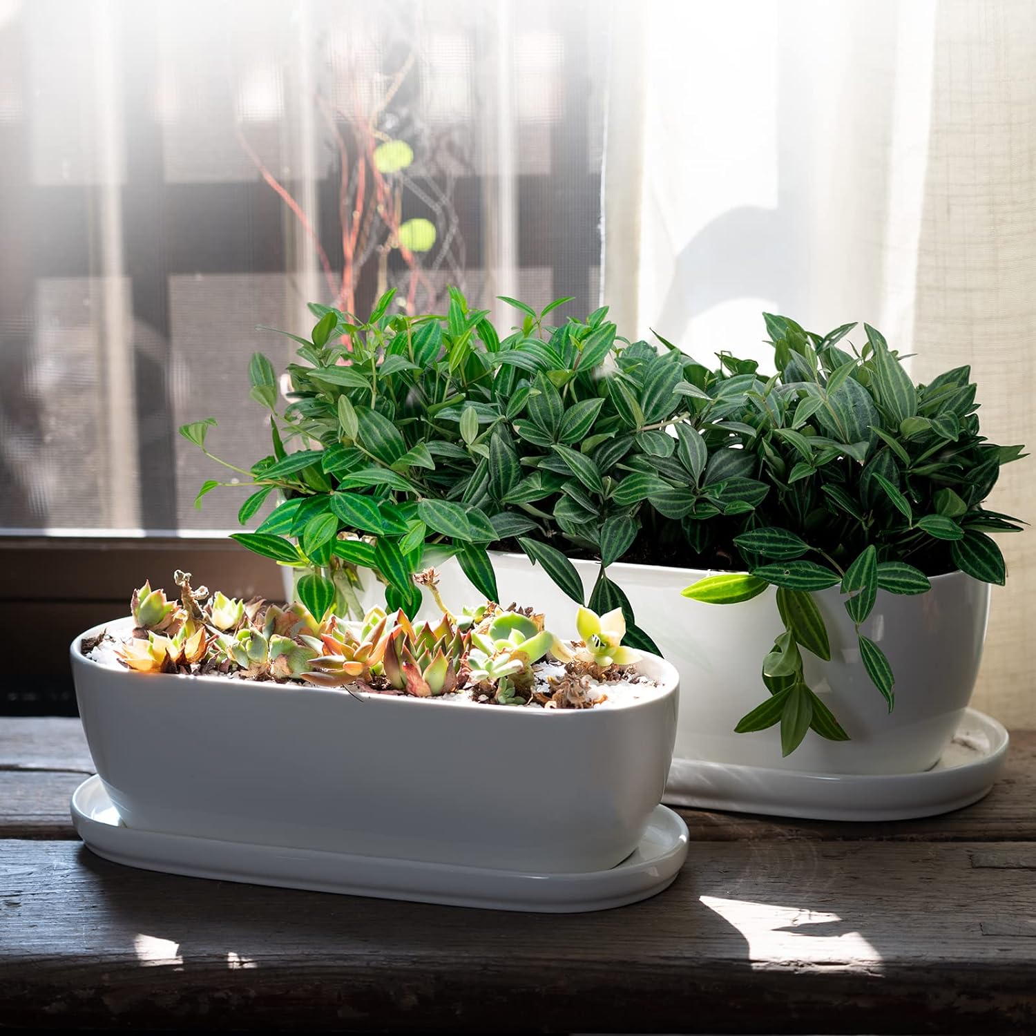 E-liu 11 Inch Oval Ceramic Planter Pot with Drainage Hole Saucers
